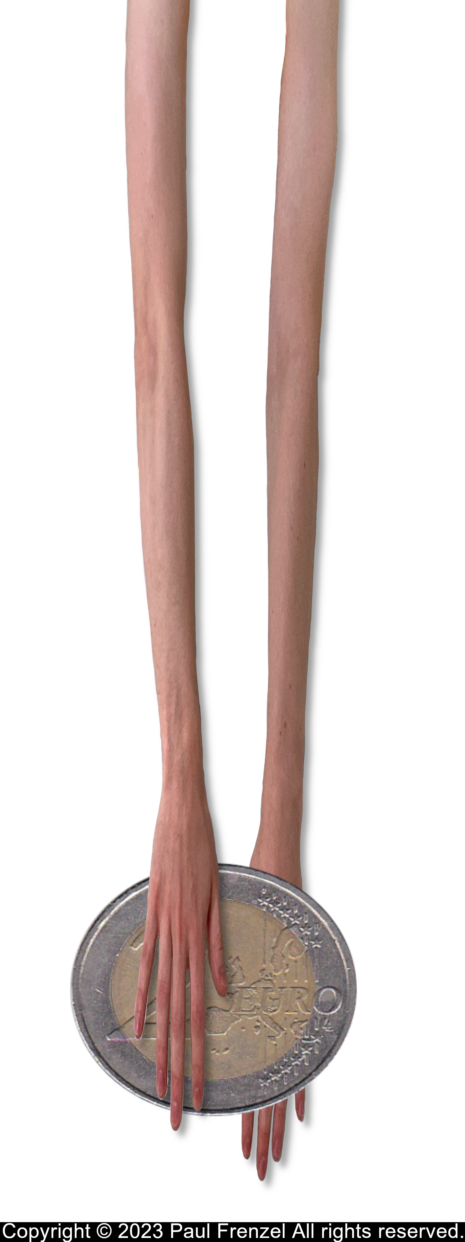 “untitled“, 2023, digital