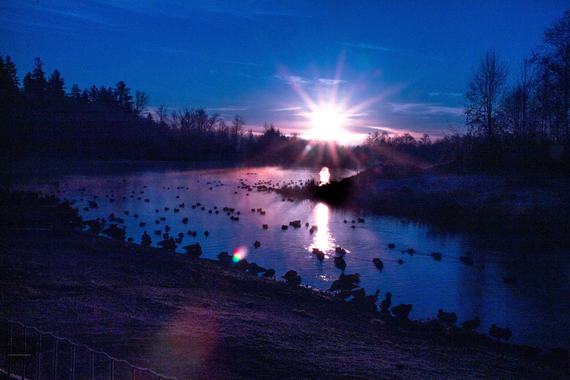 Surrey Lake Cool