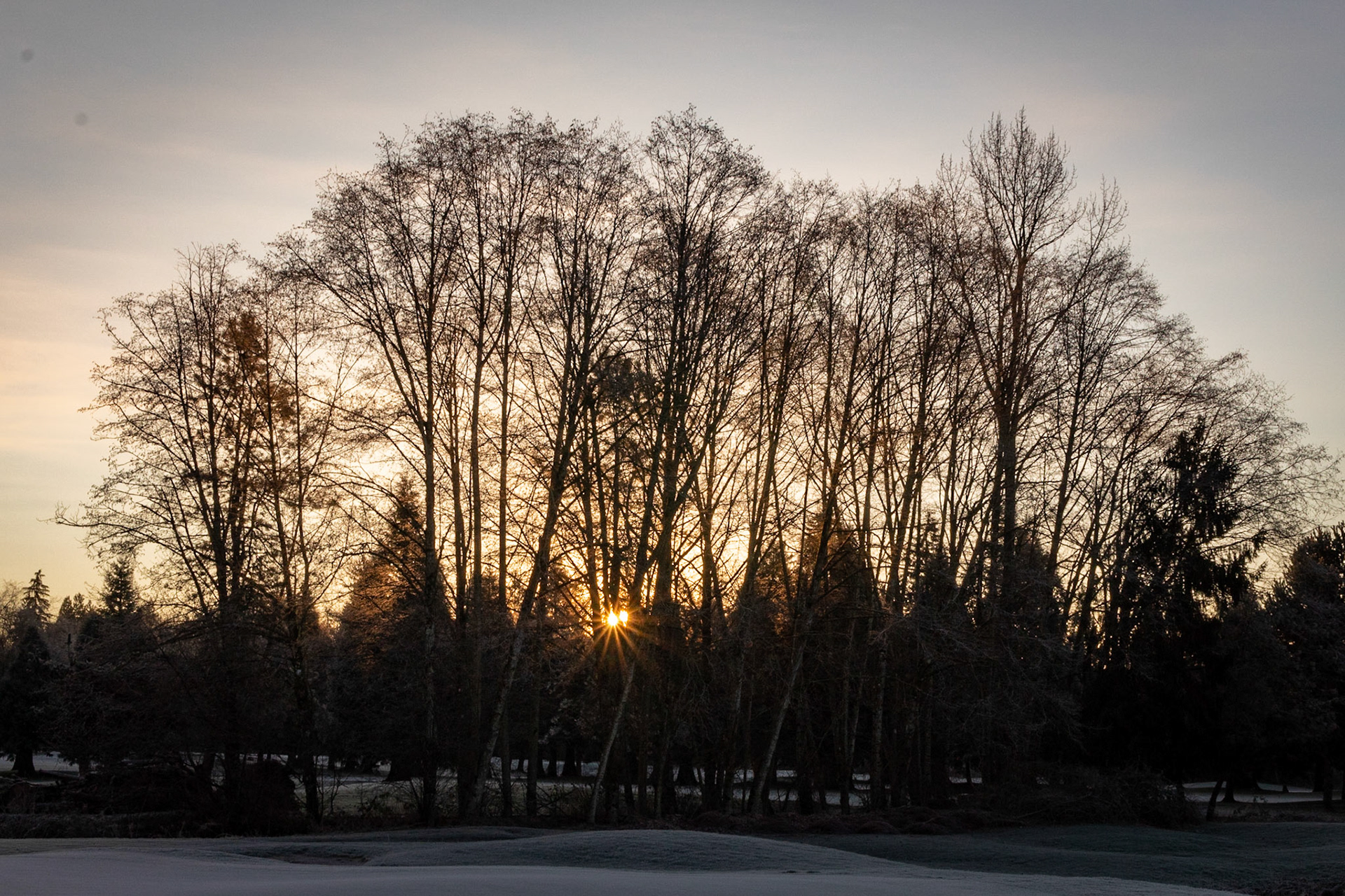 Frosty Dawn