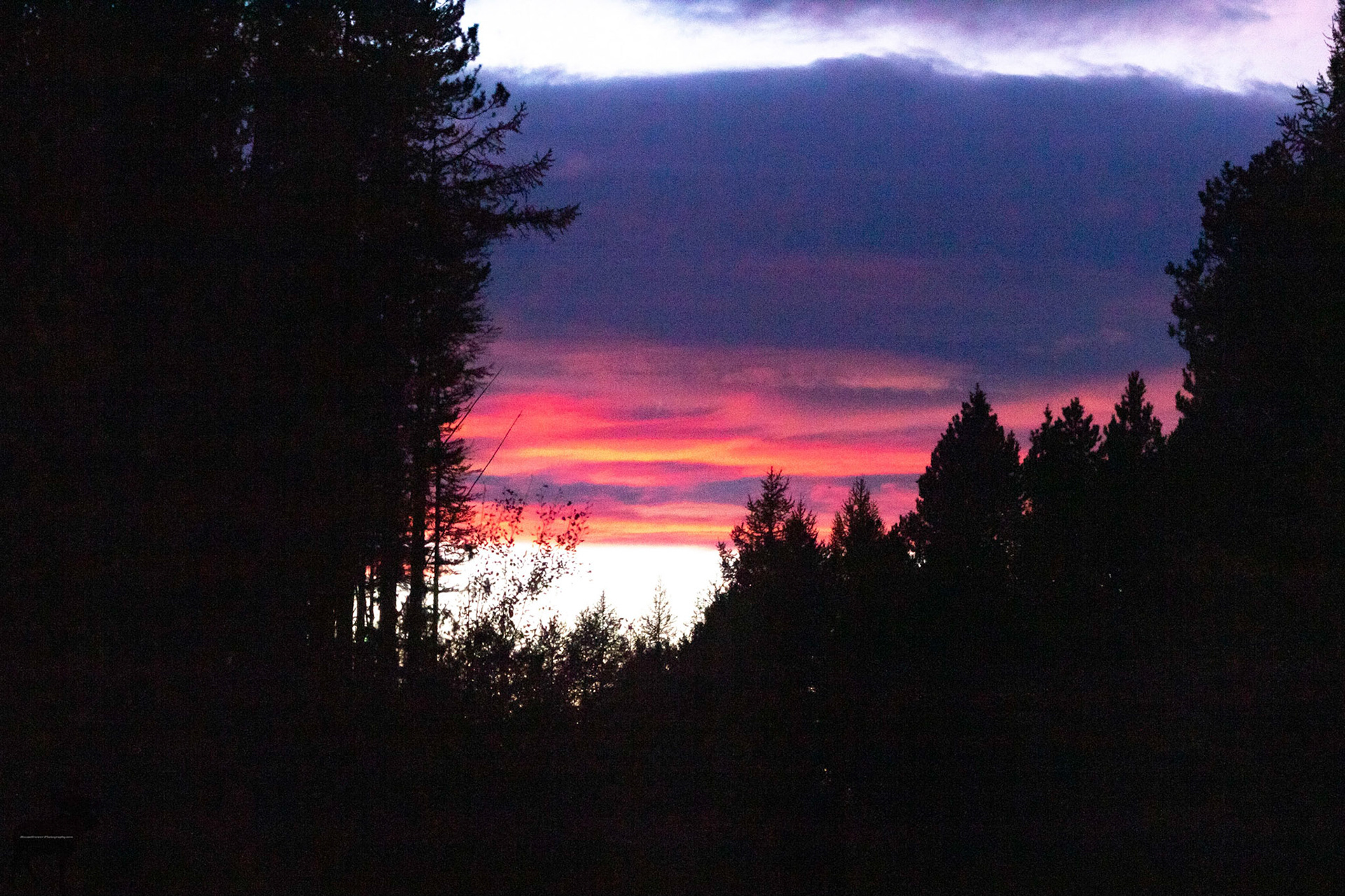 Firery Sunset