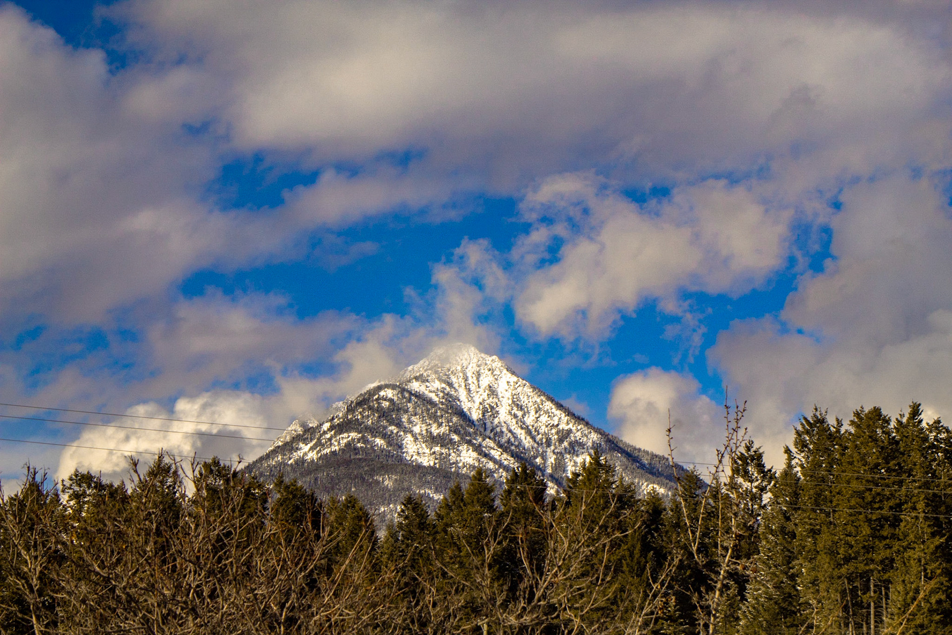 Photographs I started to make after "A Year With My Camera"