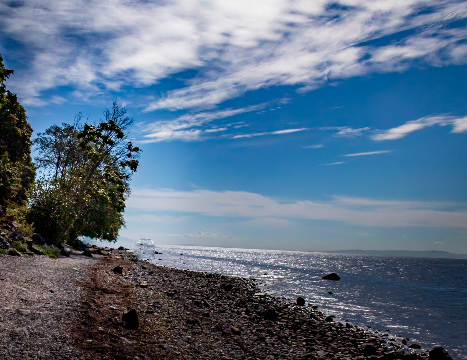 Coastal Loohout