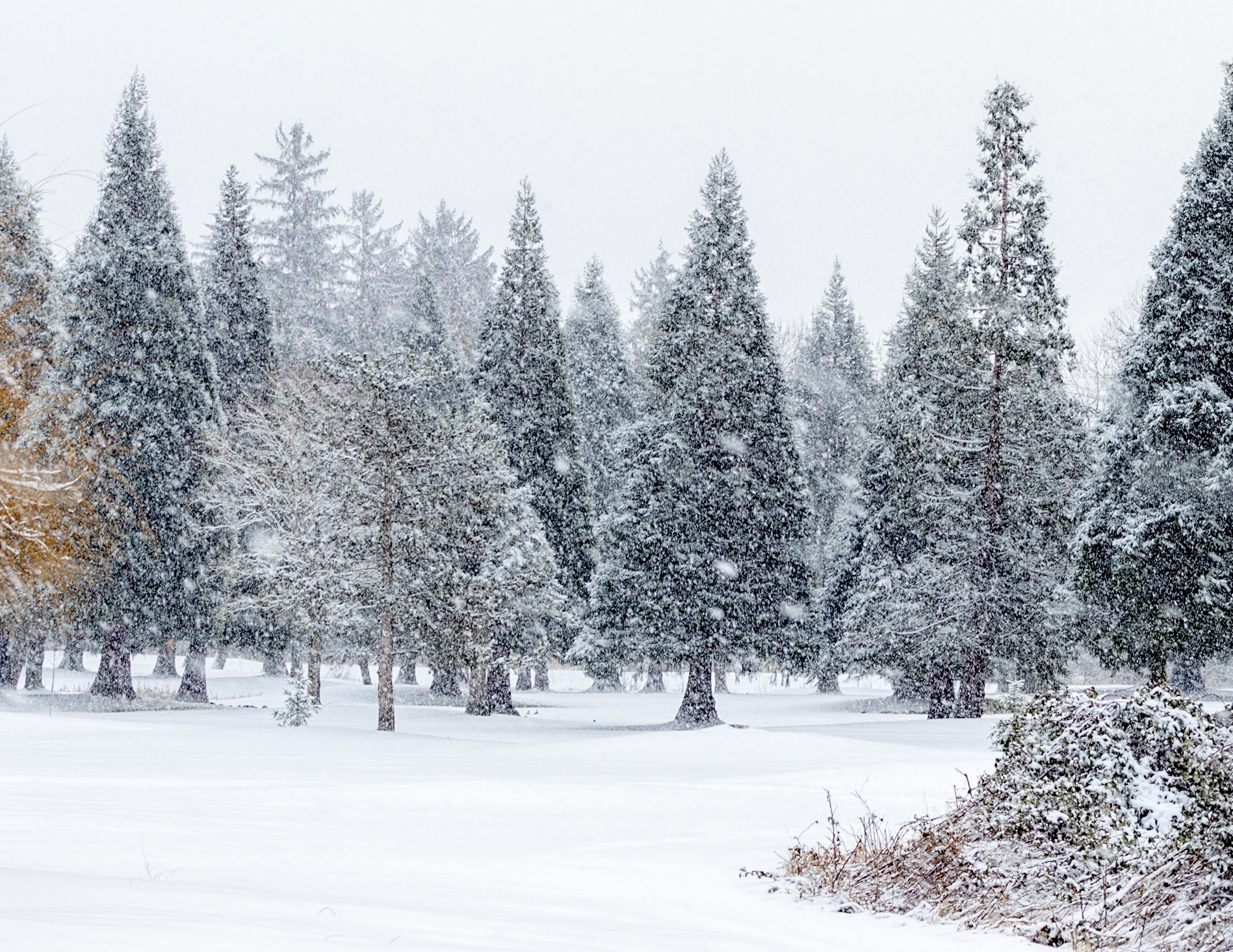 Winter's Calm
