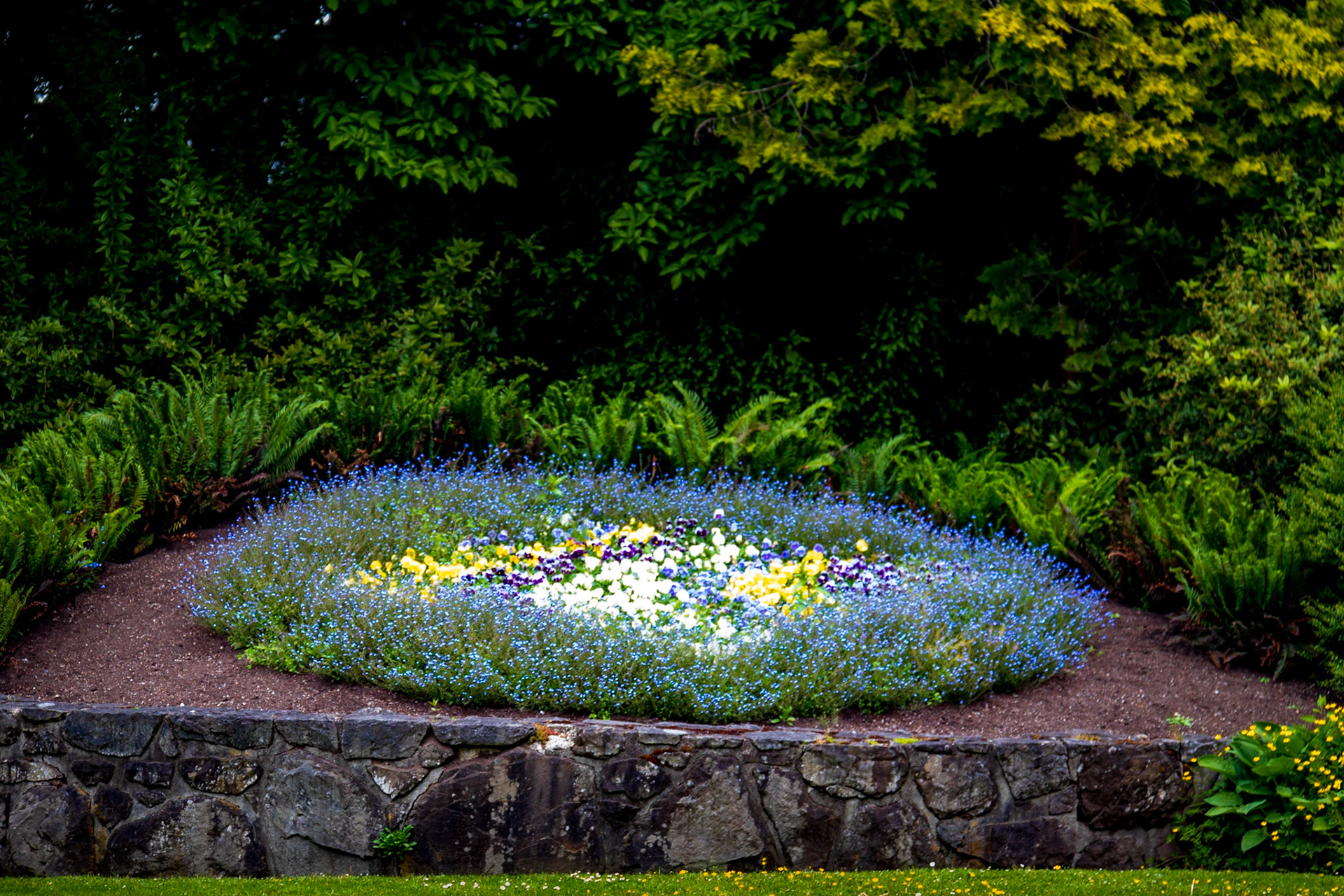Spring Flowers
