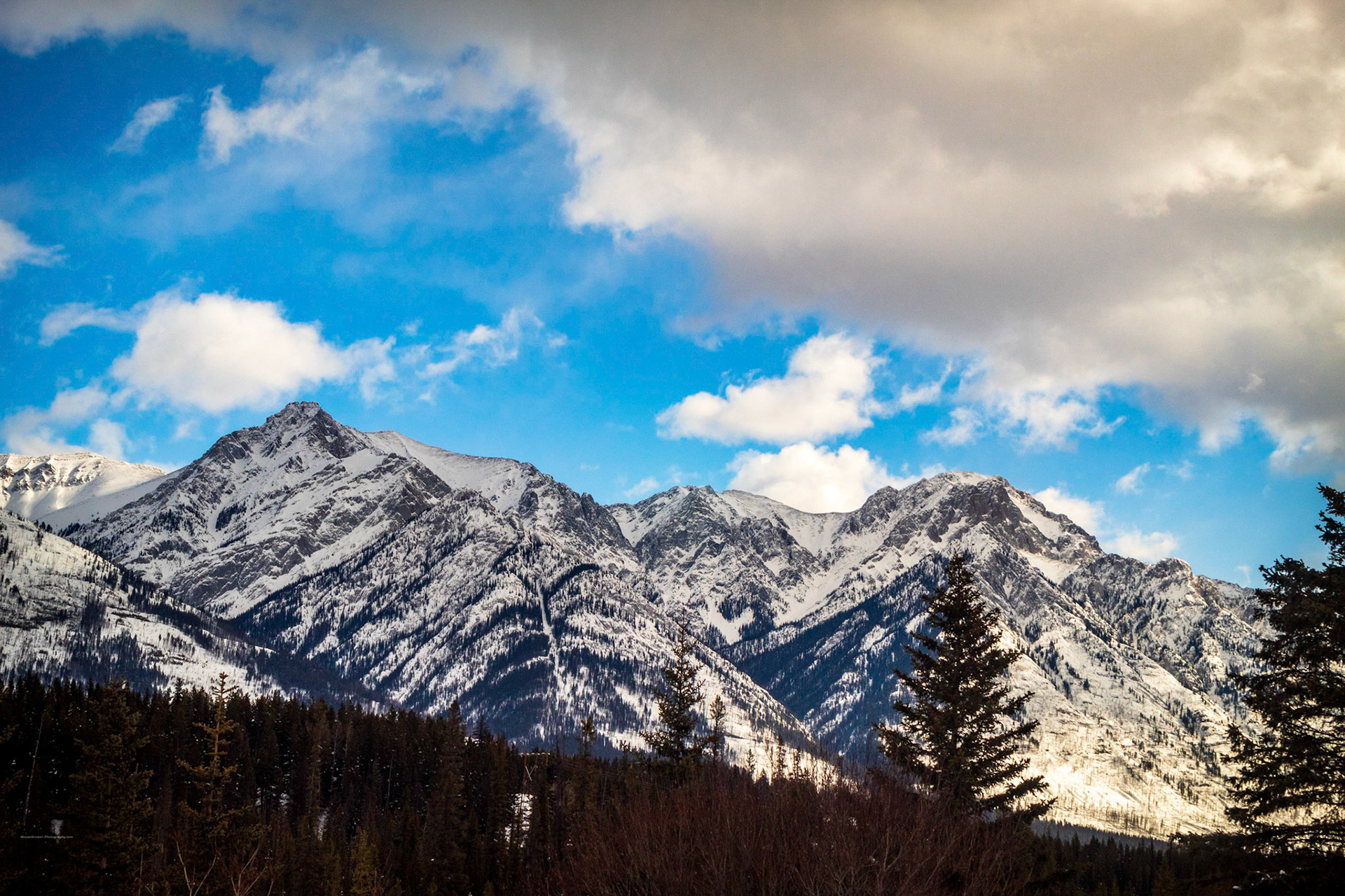 Rogers Pass