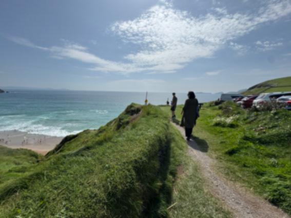 Dingle Island Day trip with fellow Artists