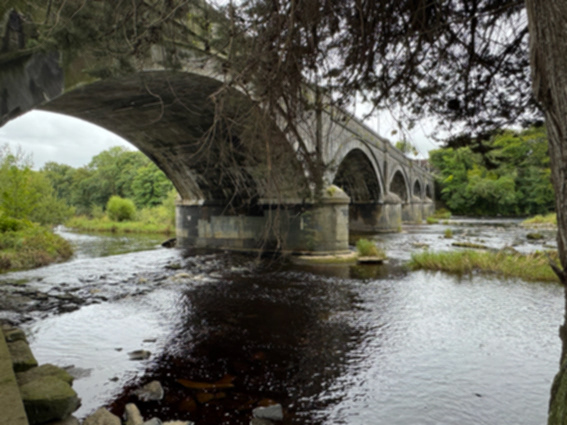Along the River