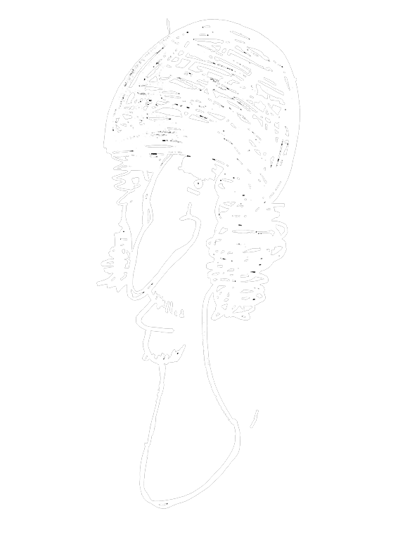 Benjamin Stamp