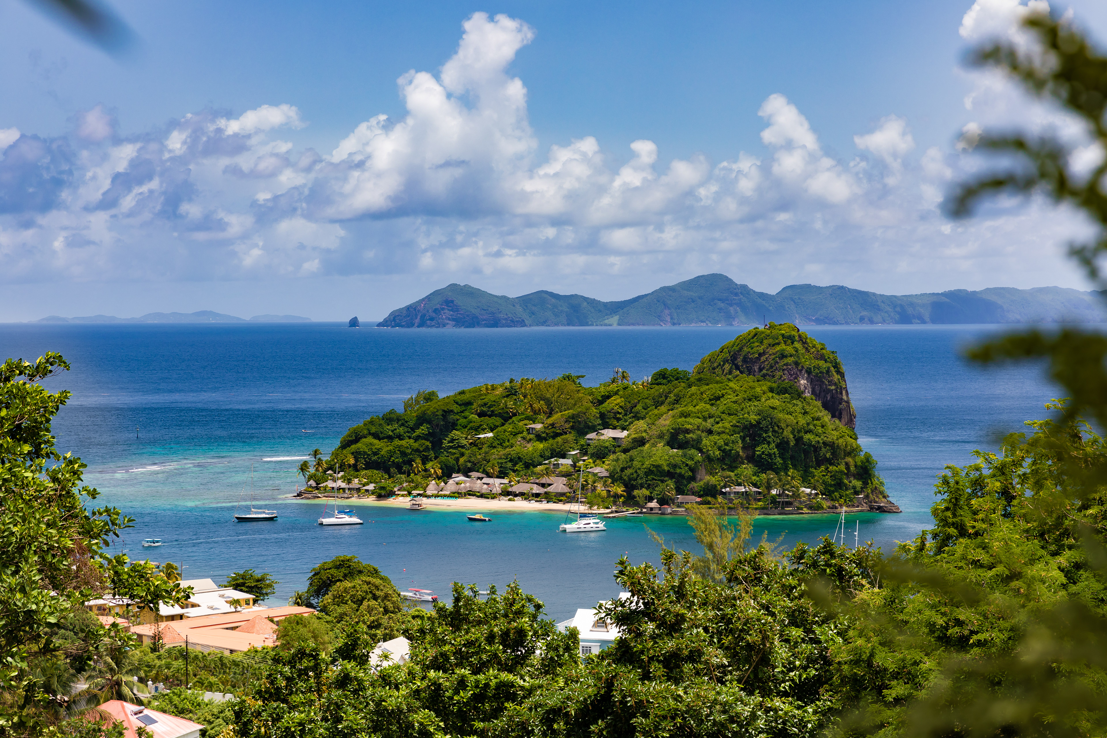 Young Island