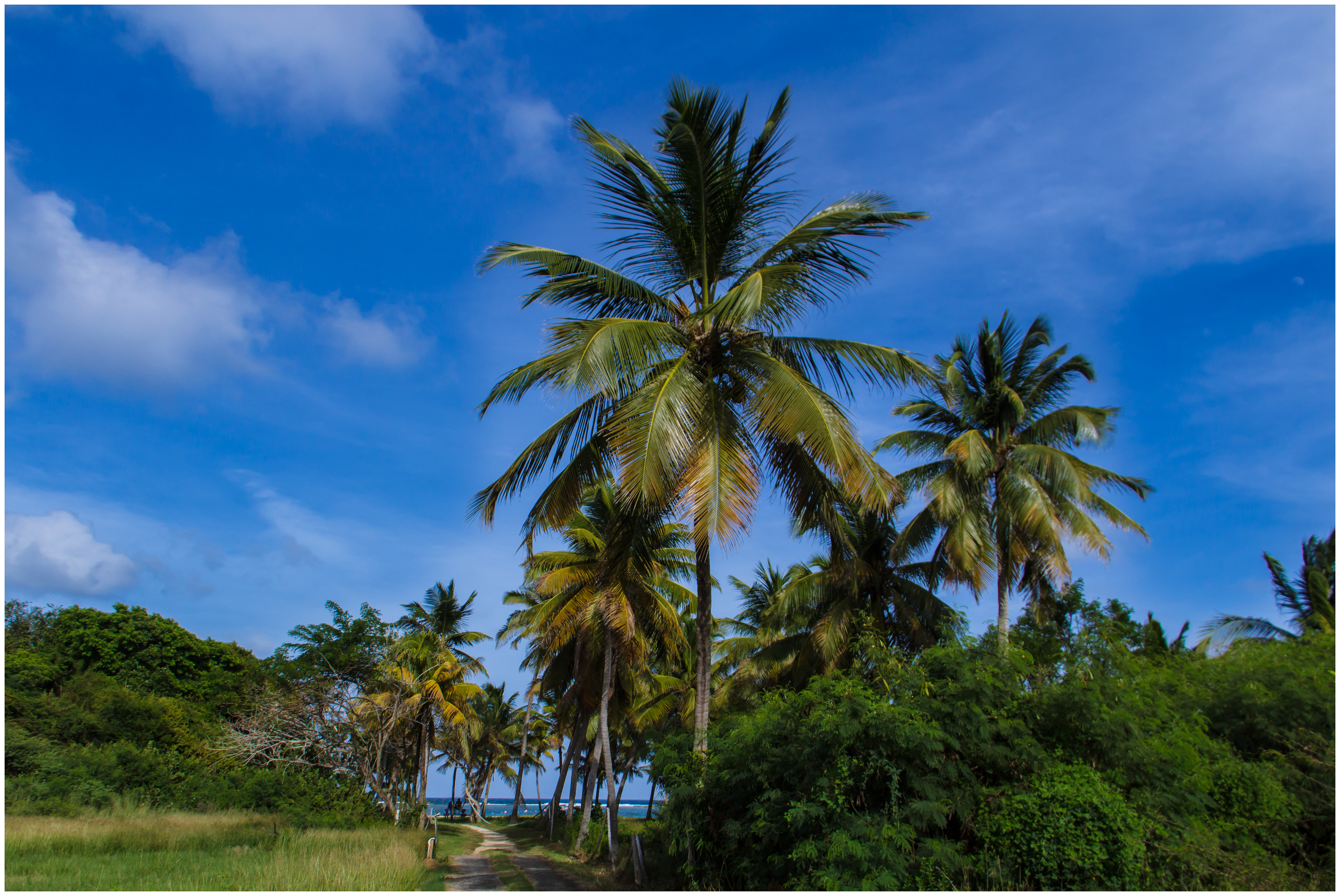 Union Island
