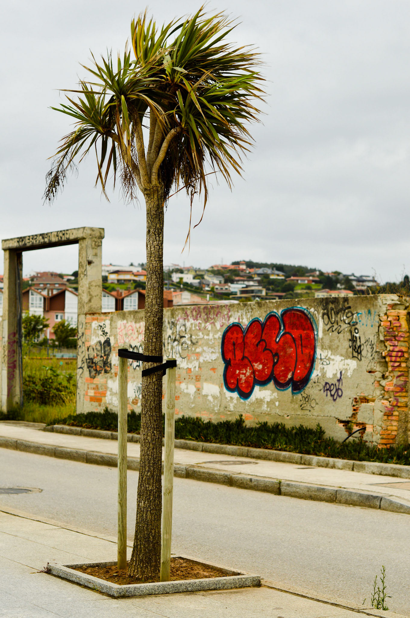 Gijon, 2017