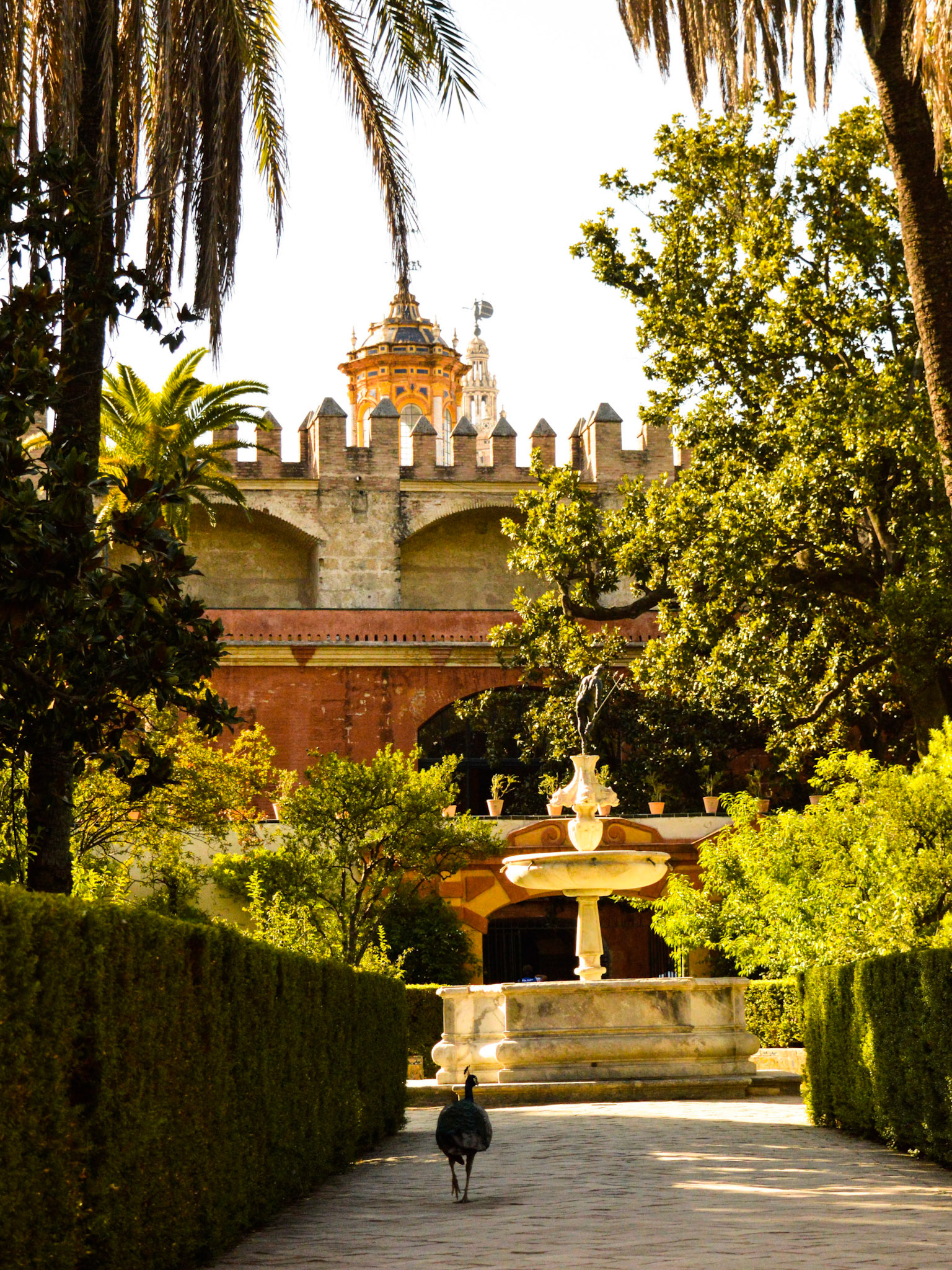 Alcazar de Sevilla, 2016
