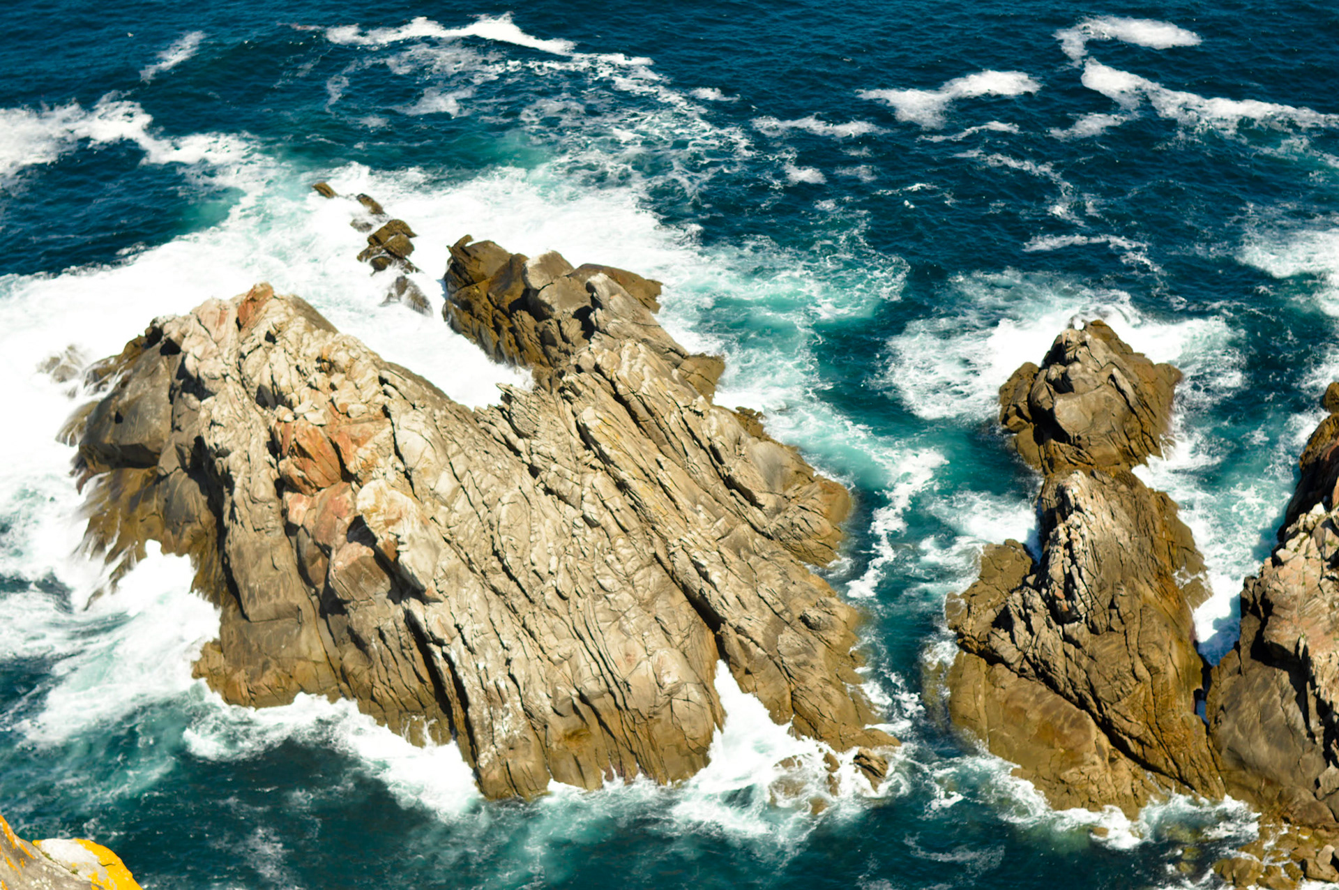 Islas Cies, 2017