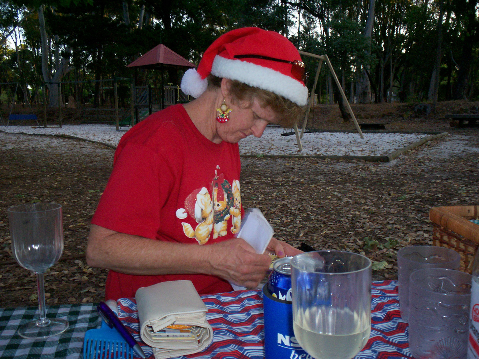 Xmas in the Park