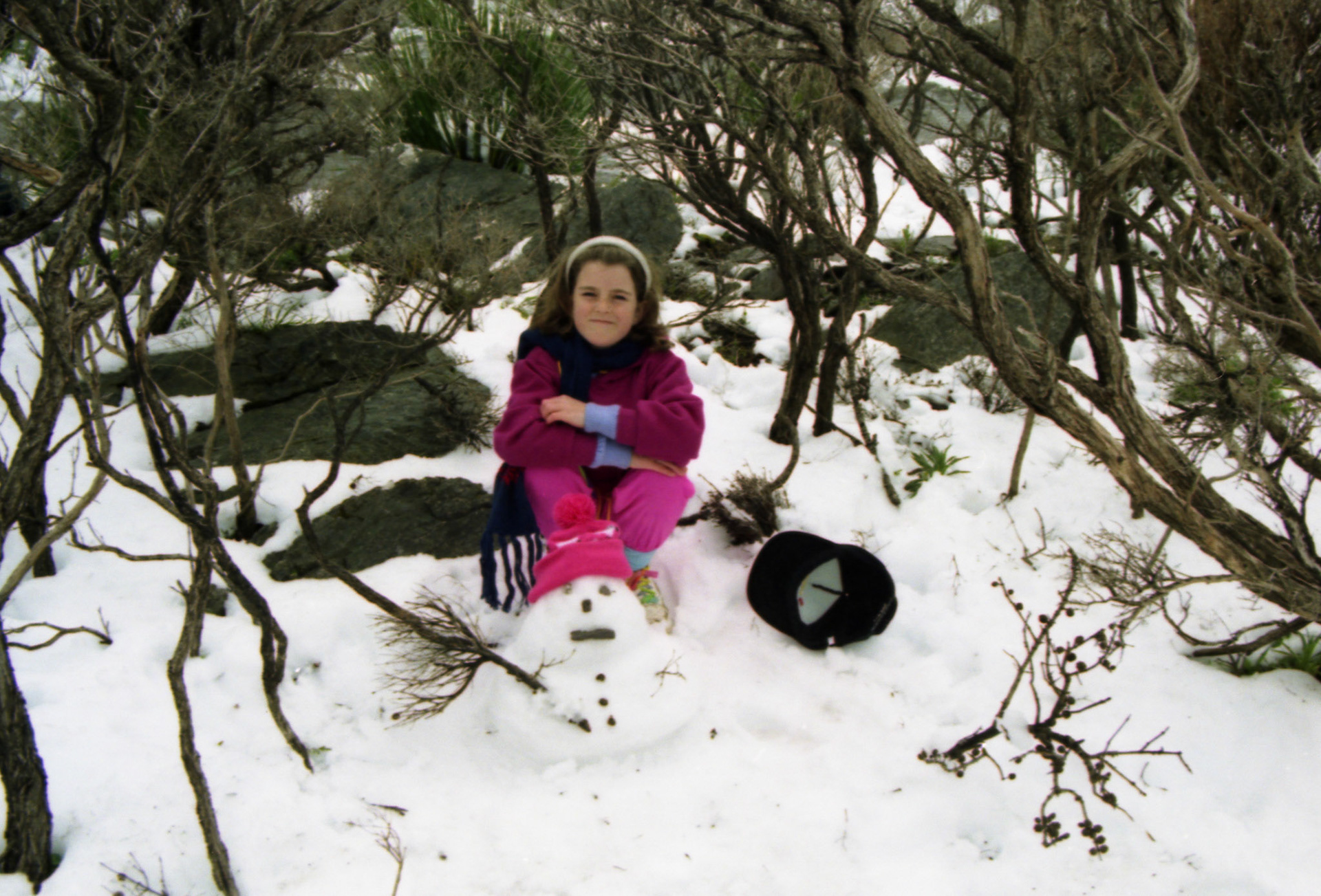 SNOW ON BLUFF KNOLL 1992