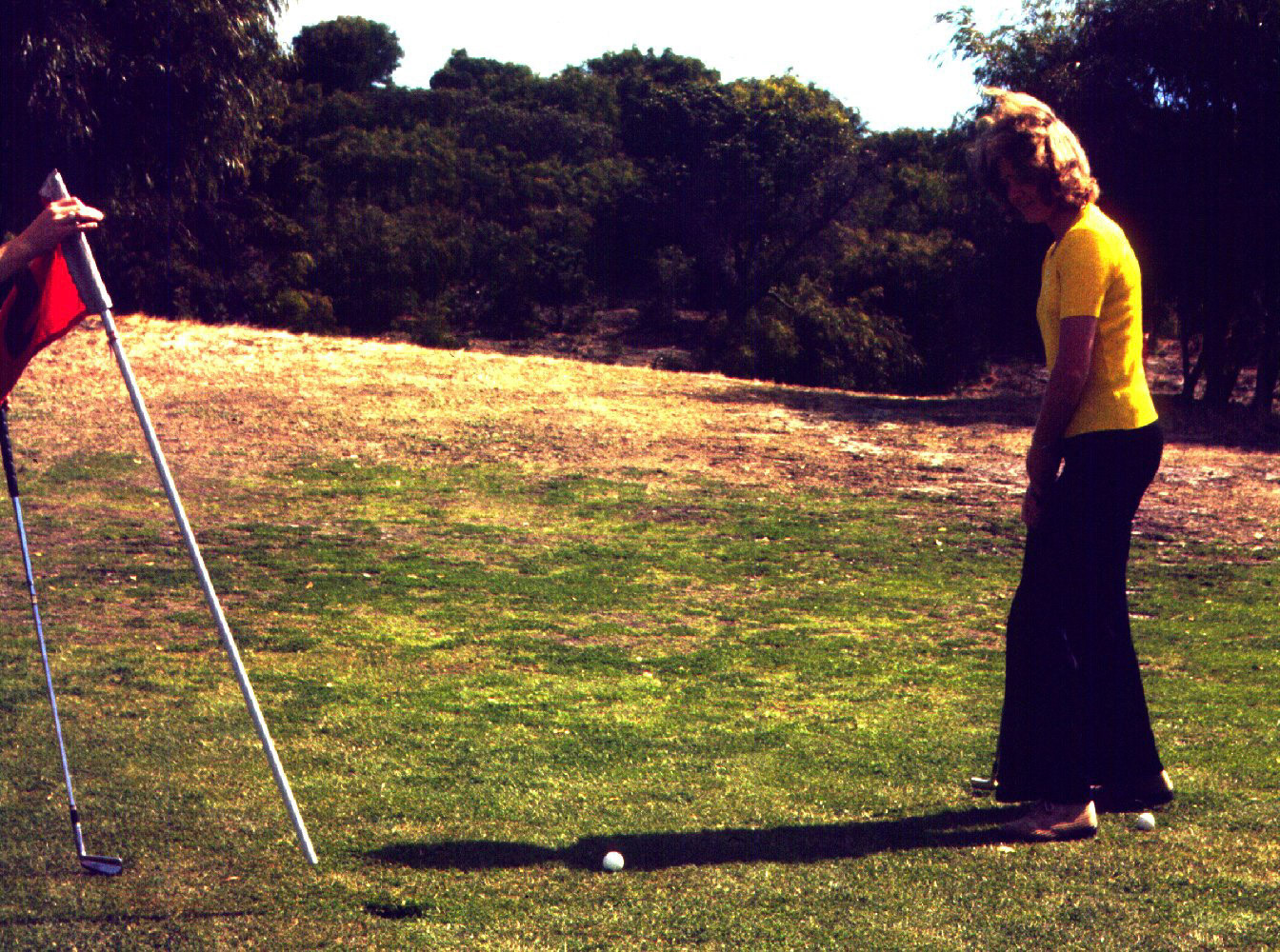 Golf ? more like Wind Generator