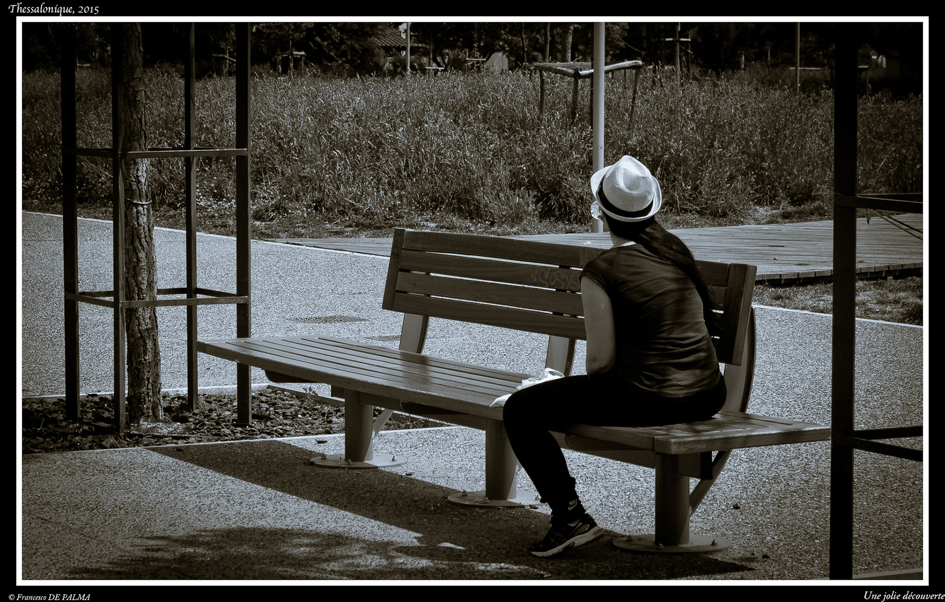 Une jolie découverte