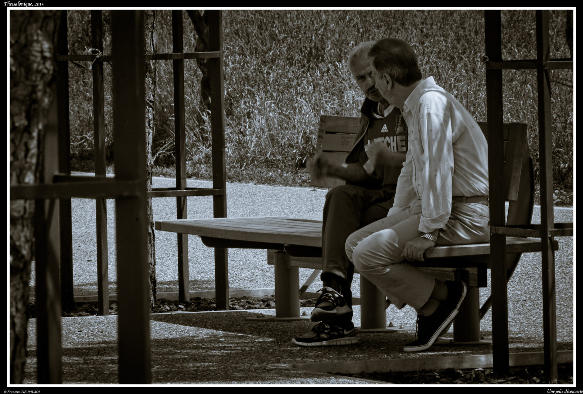 Une jolie découverte