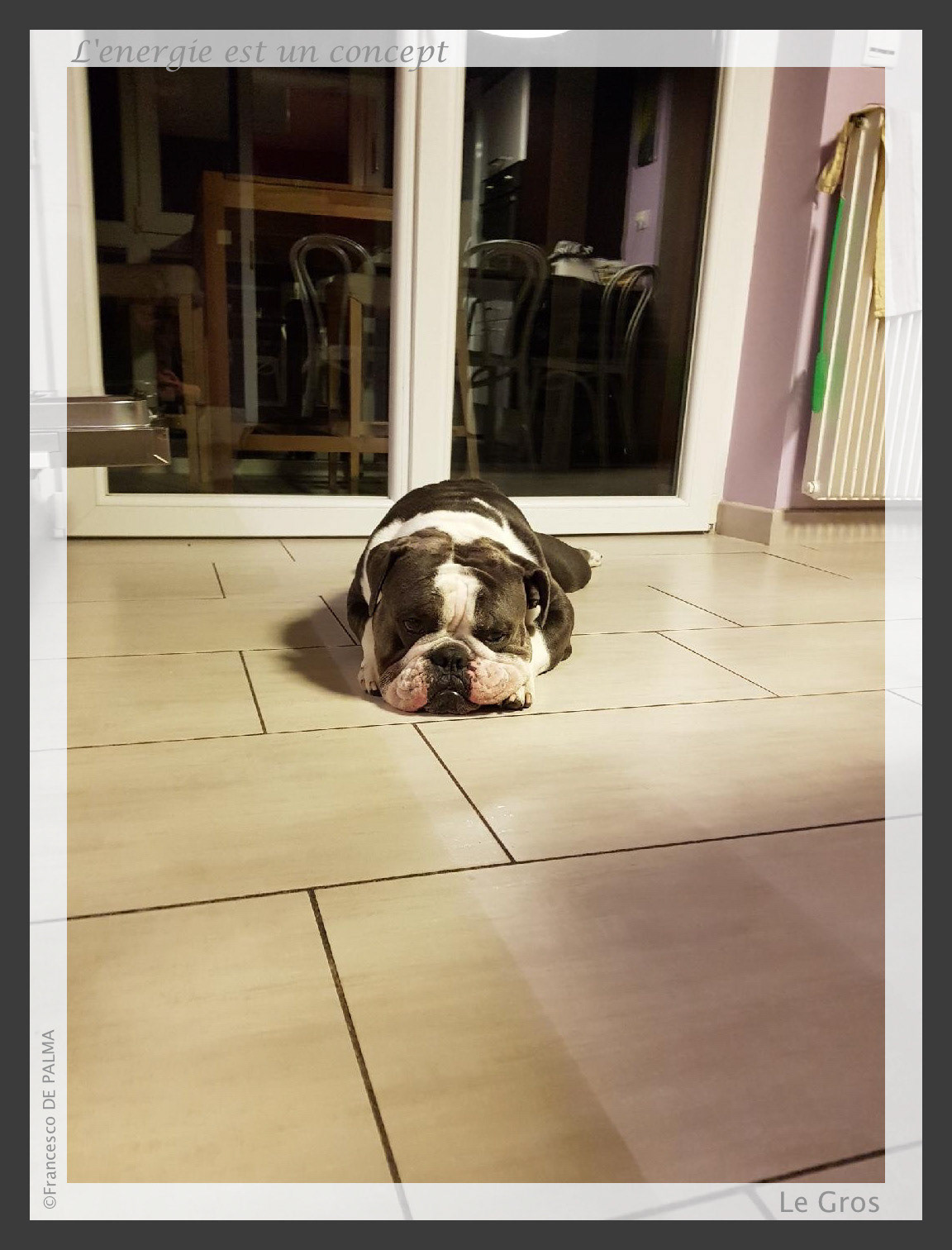 L'energie est un concept