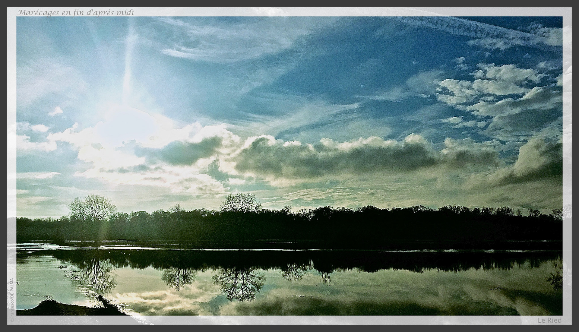 Marécages en fin d'après-midi