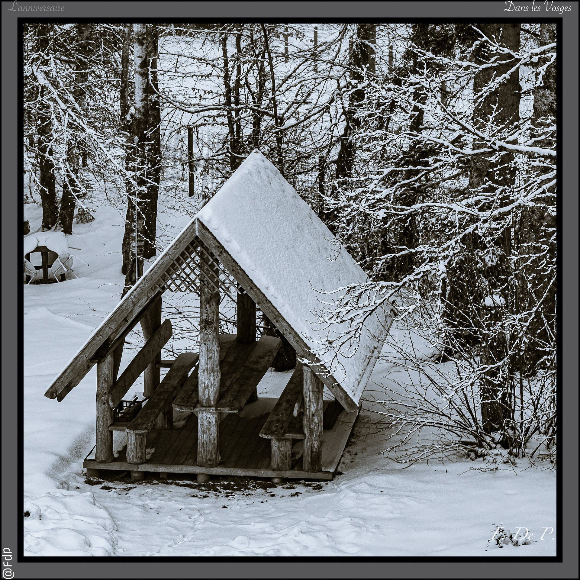 Dans les Vosges