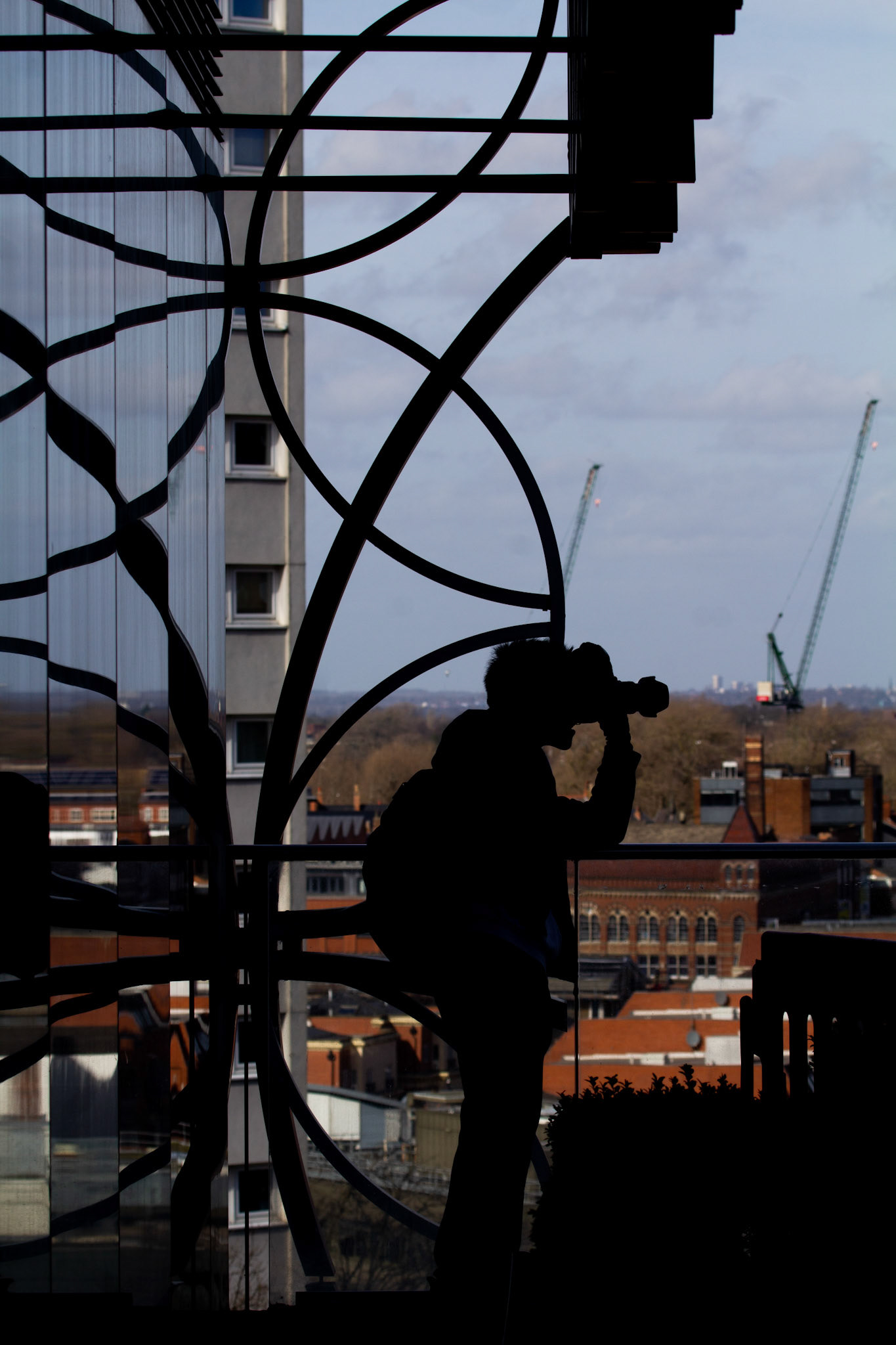 Silhouette with a view