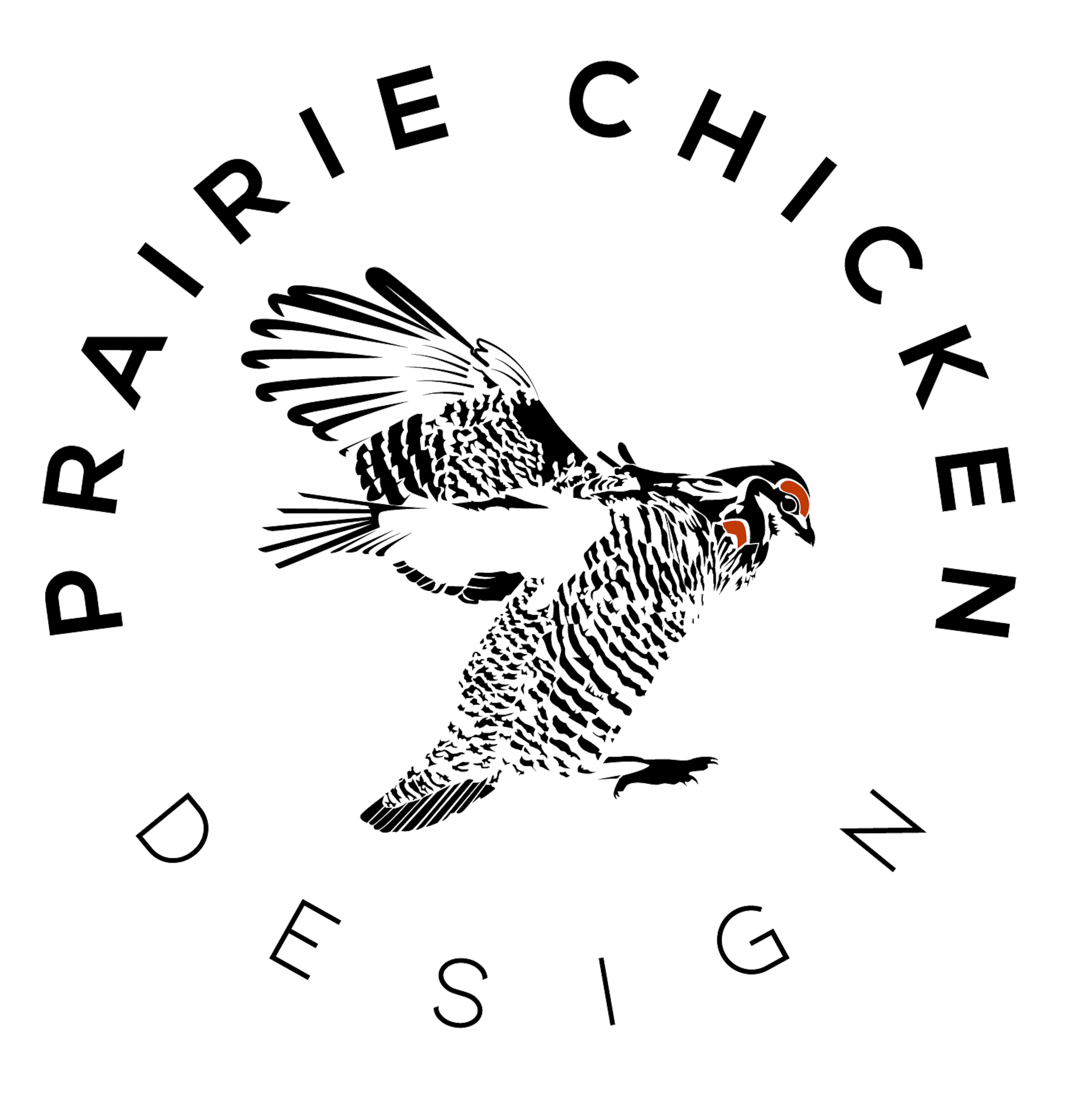 Prairie Chicken Photography
