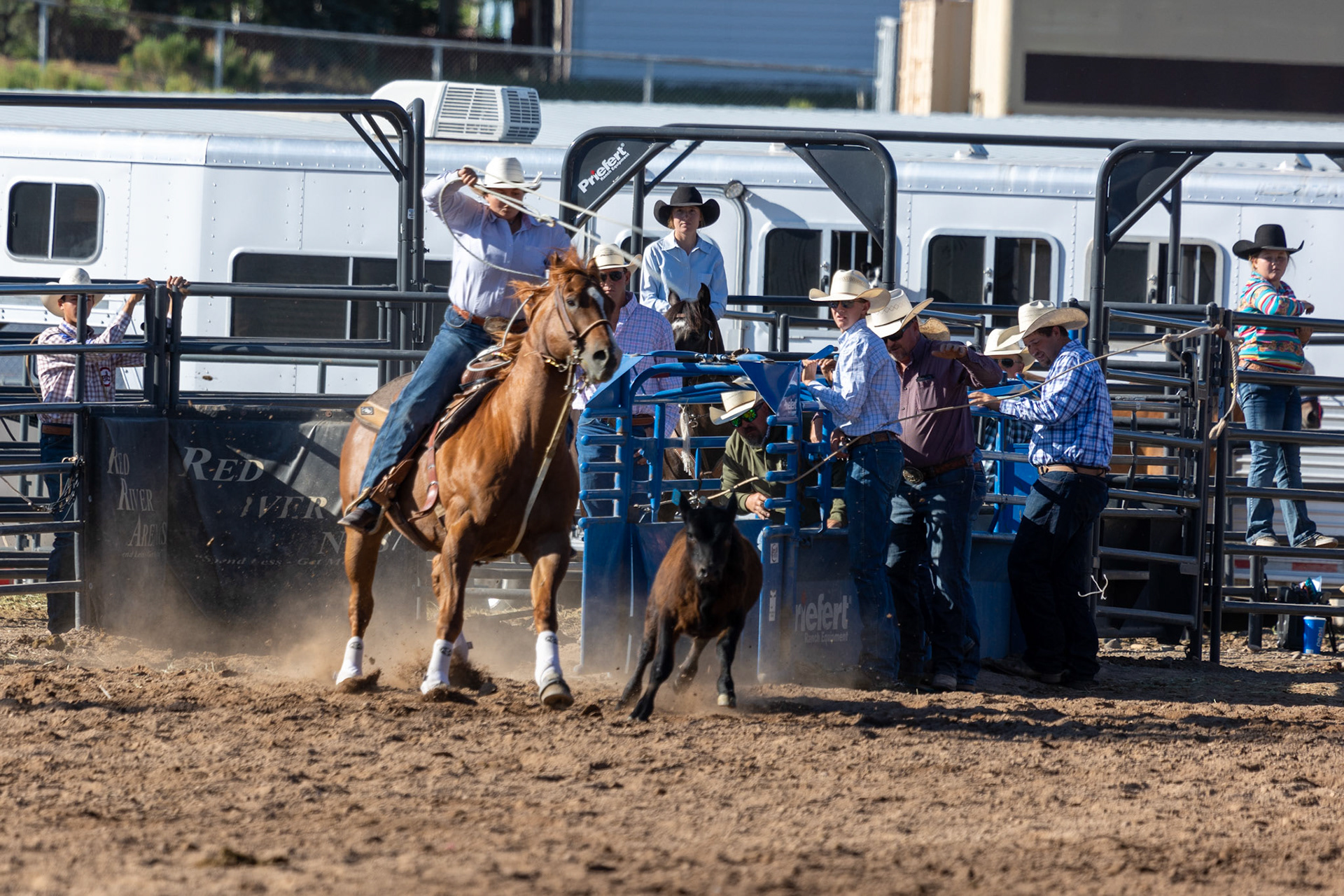 Rodeo