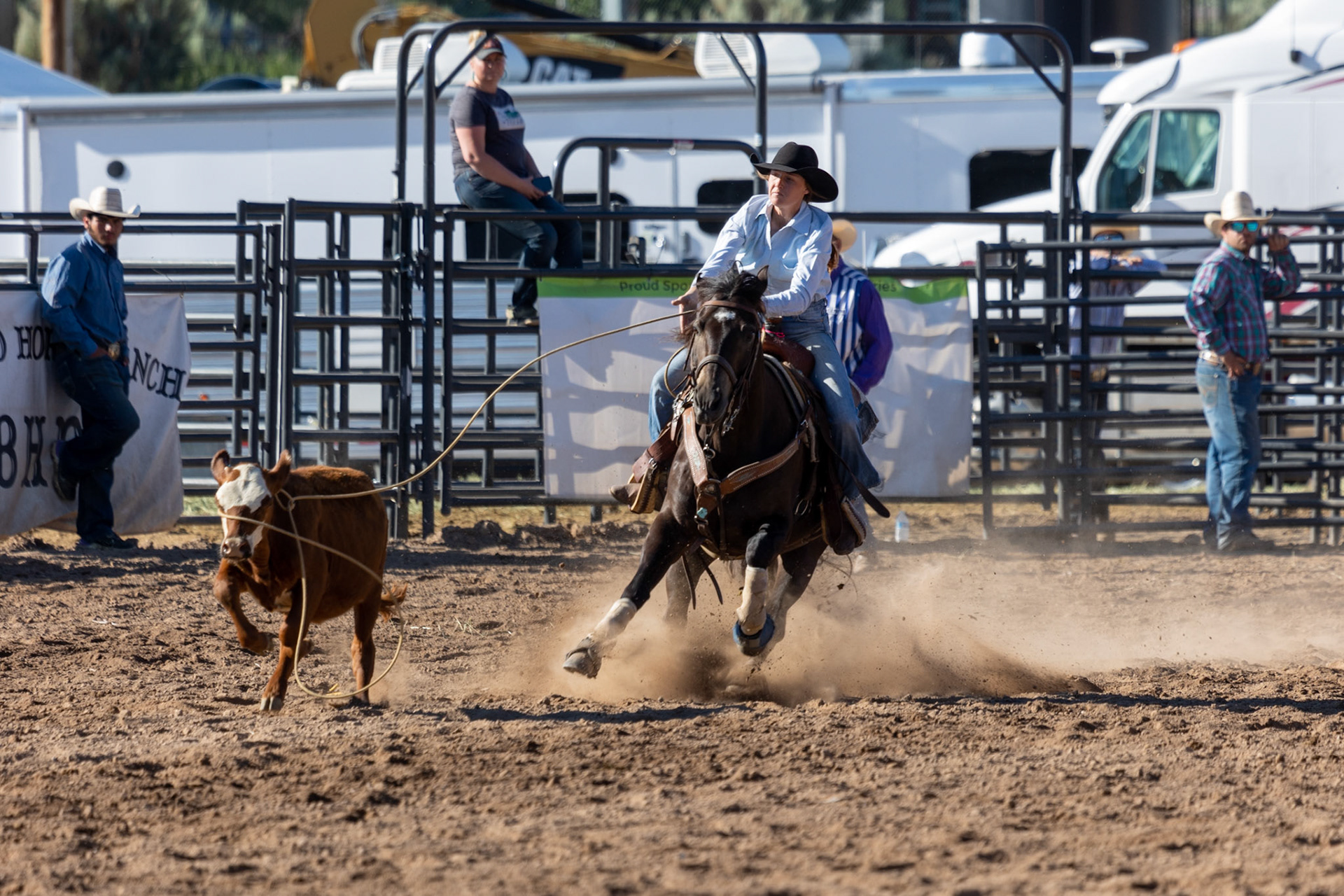 Rodeo