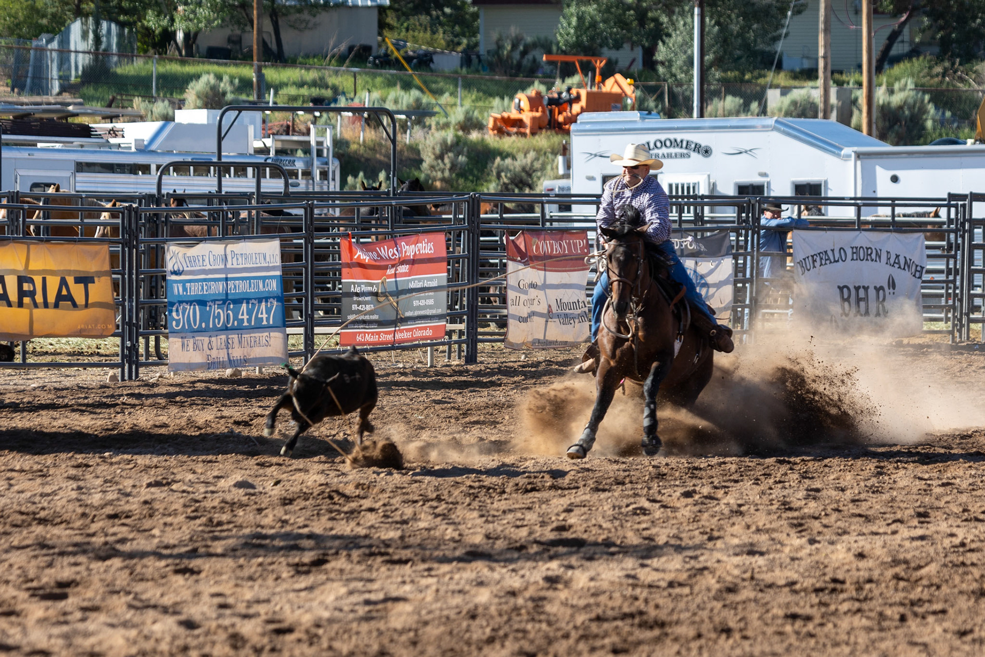 Rodeo