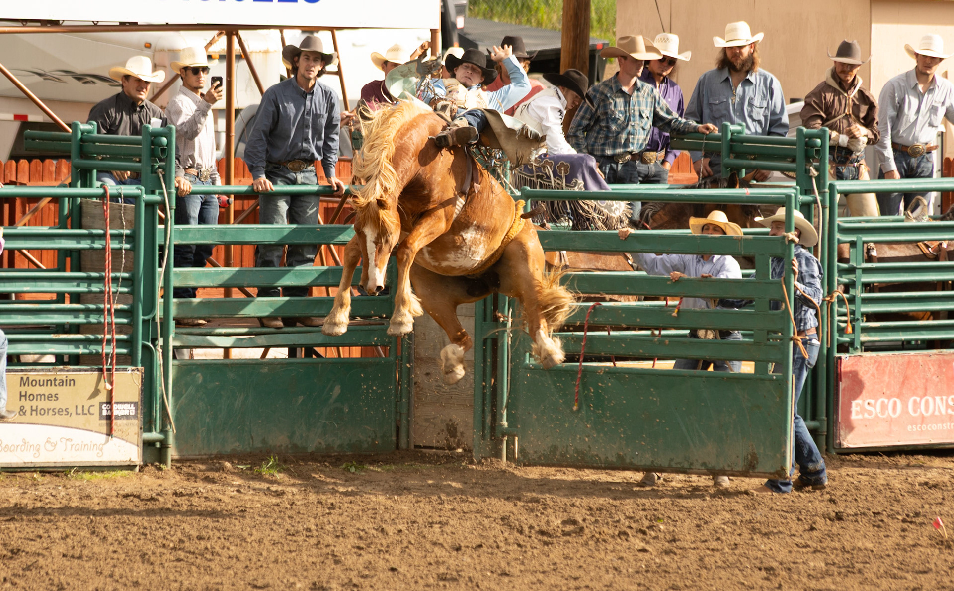 Rodeo