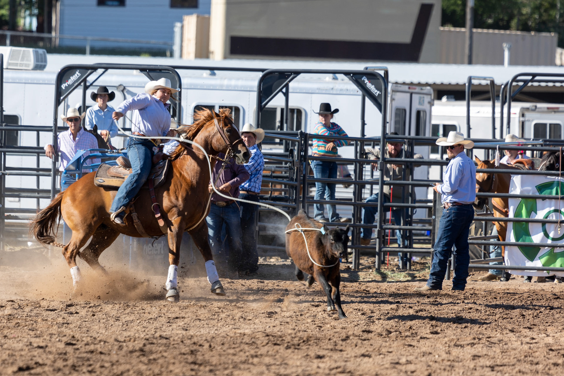 Rodeo