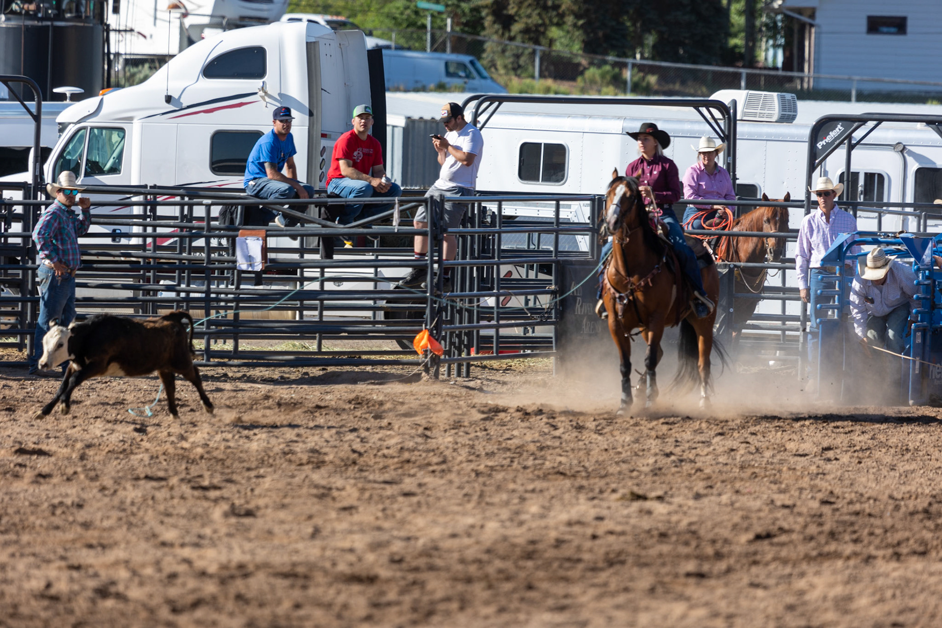 Rodeo