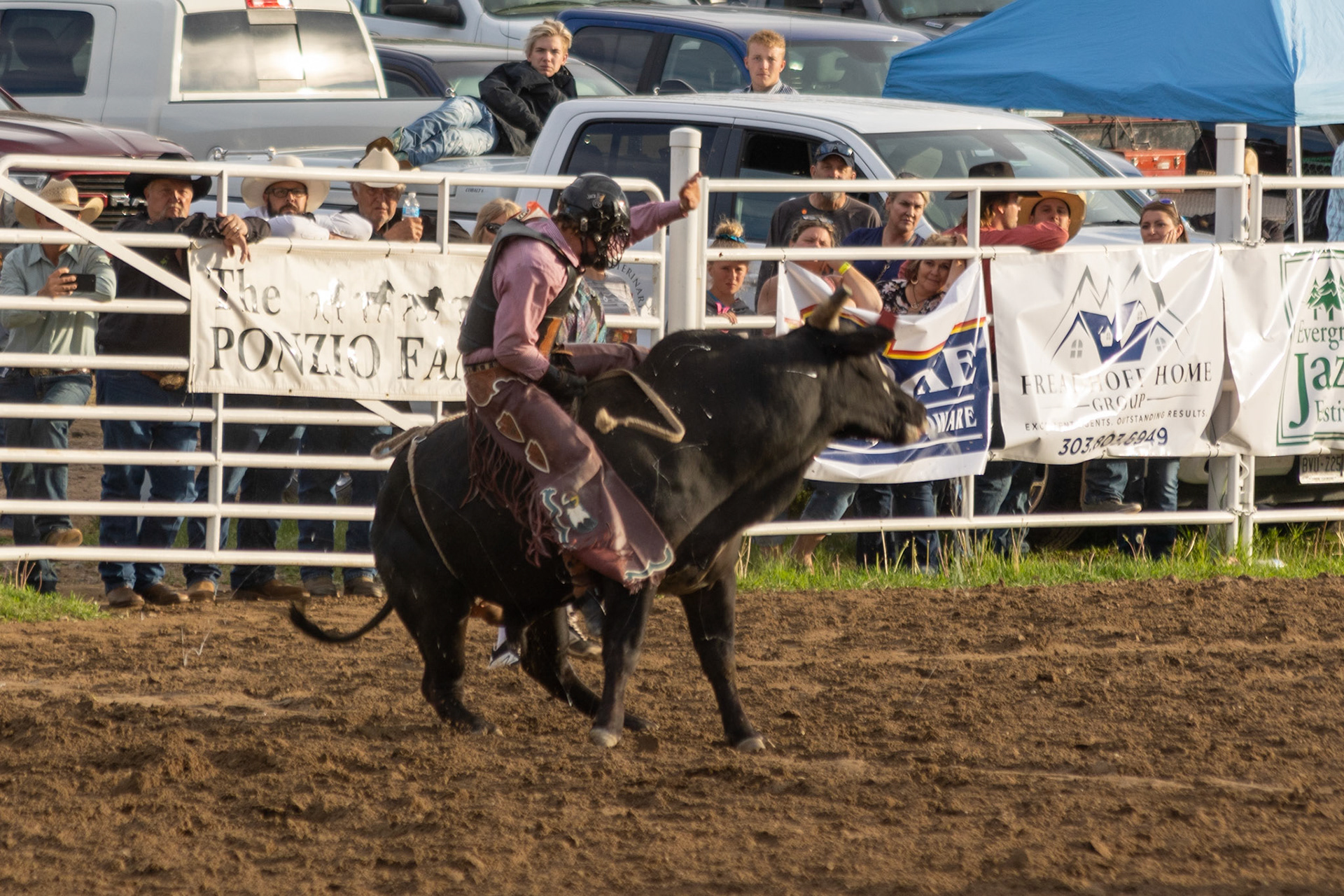 Rodeo