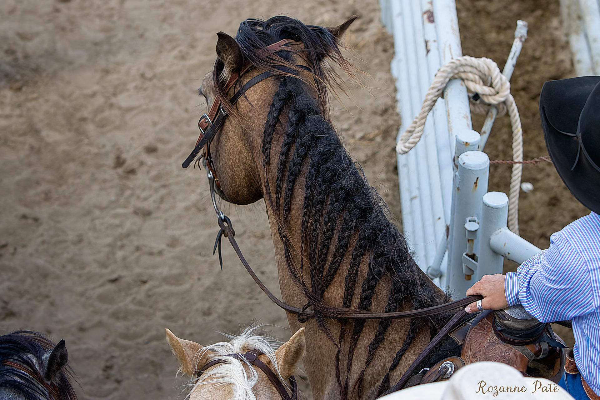 Nice braids!