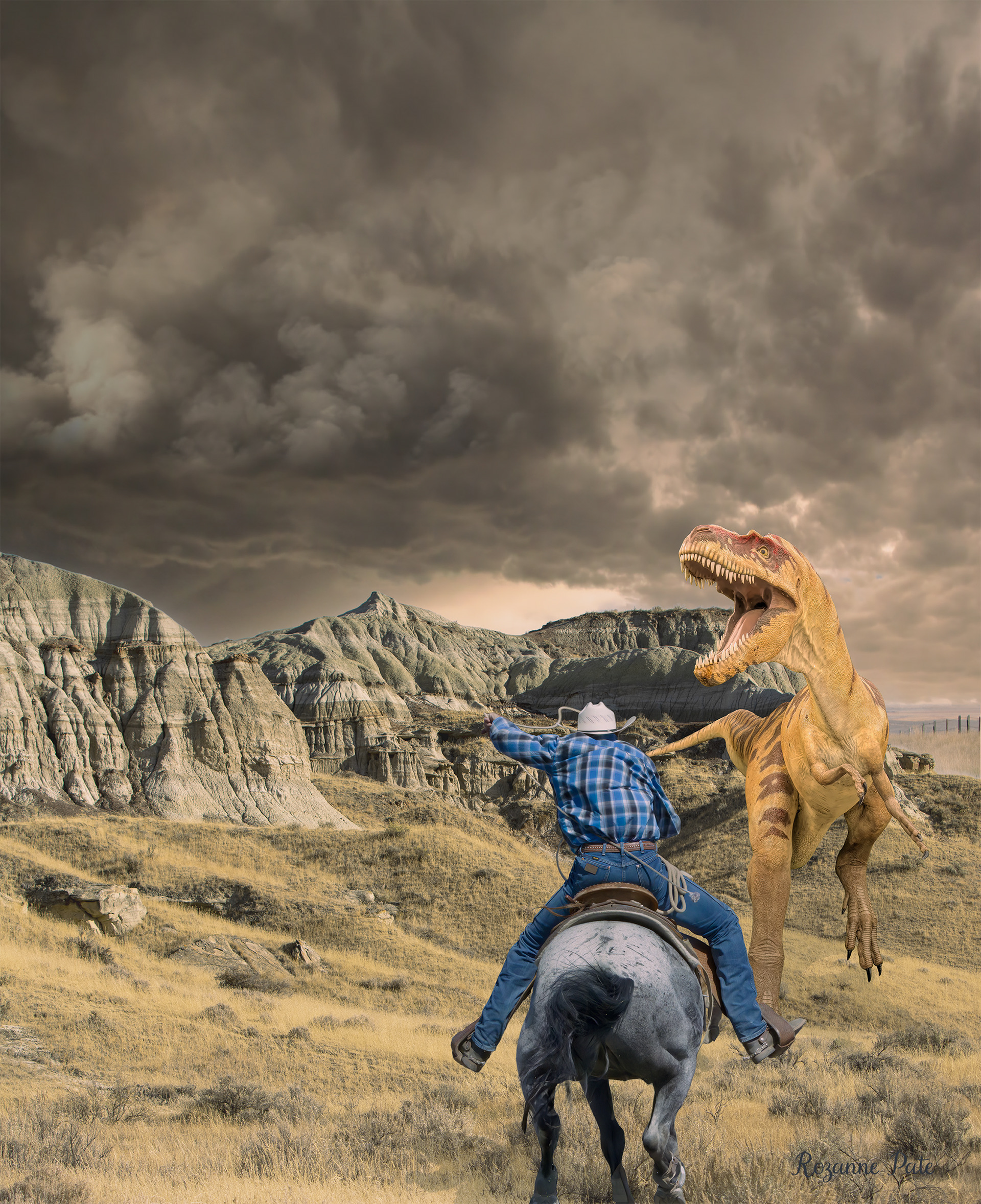 The Cowboy