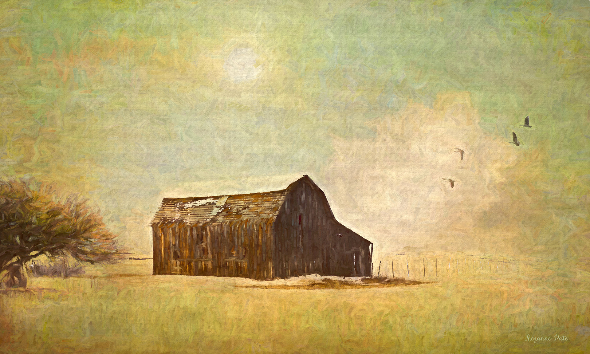 The Barn