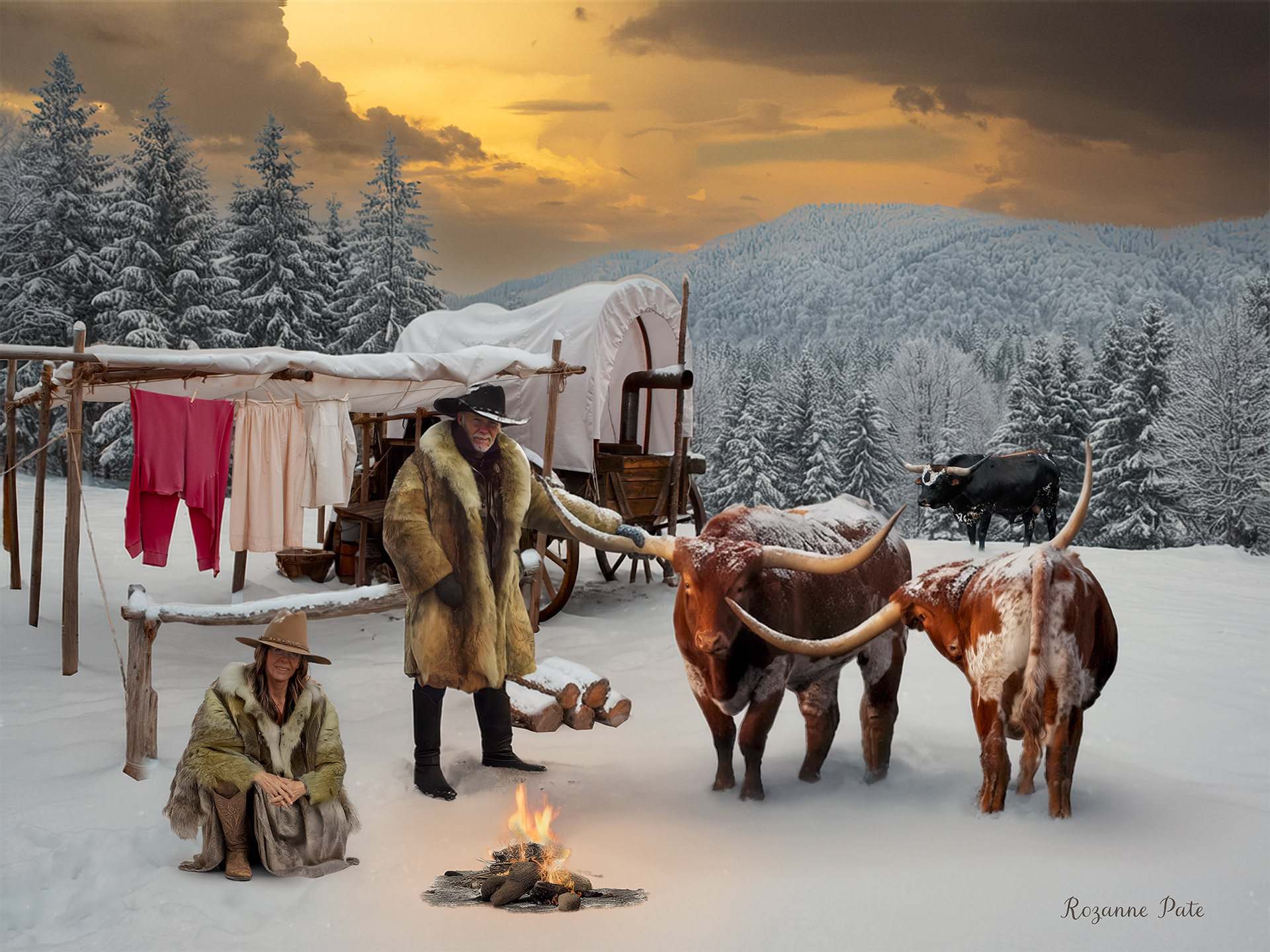 My Pioneer Ancestors