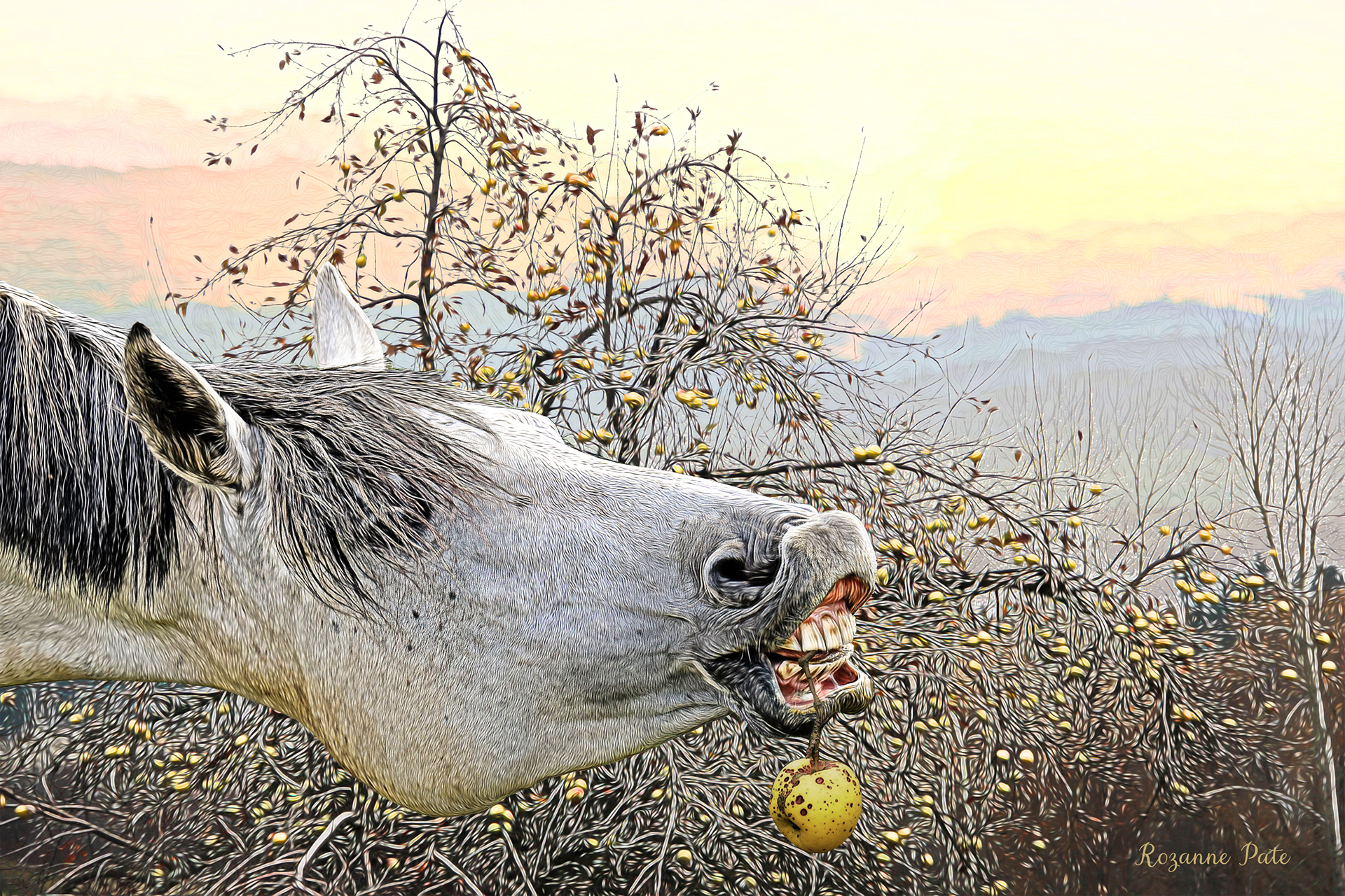 The Apple tree