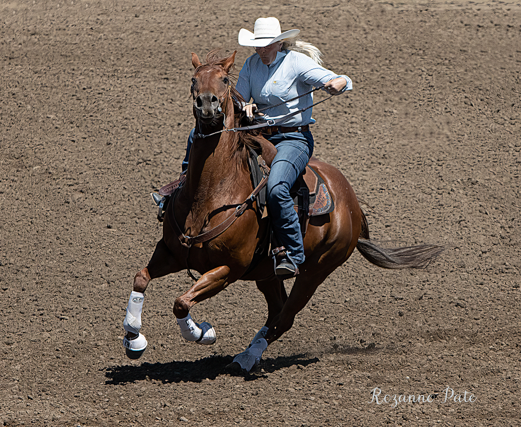 Barrel Rider