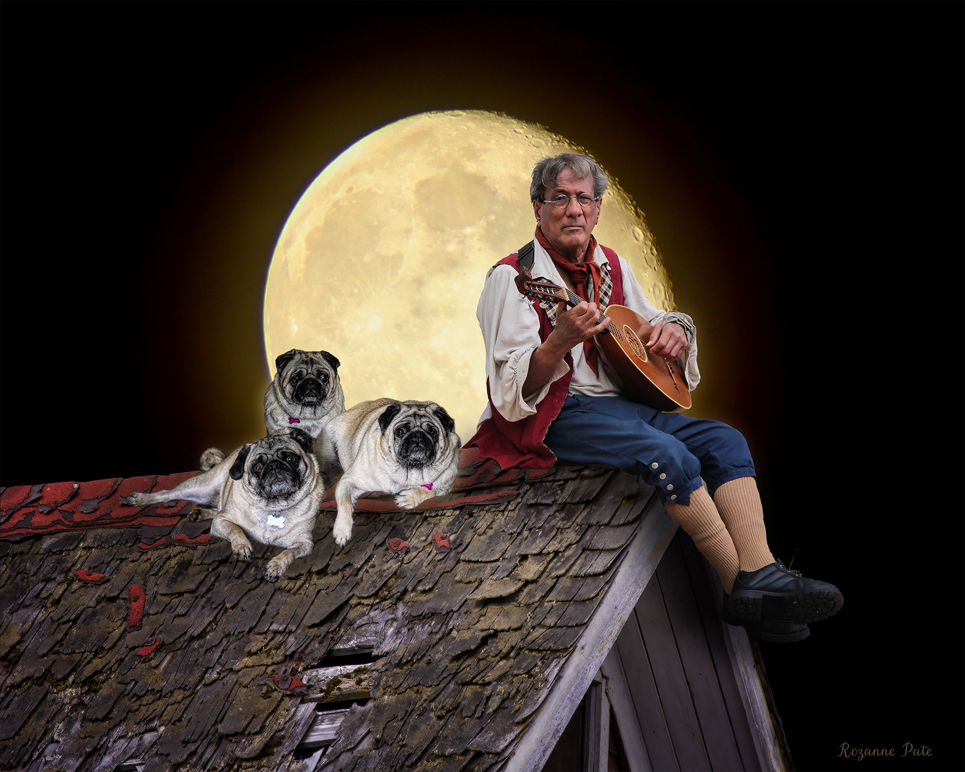 Piddlers on the Roof