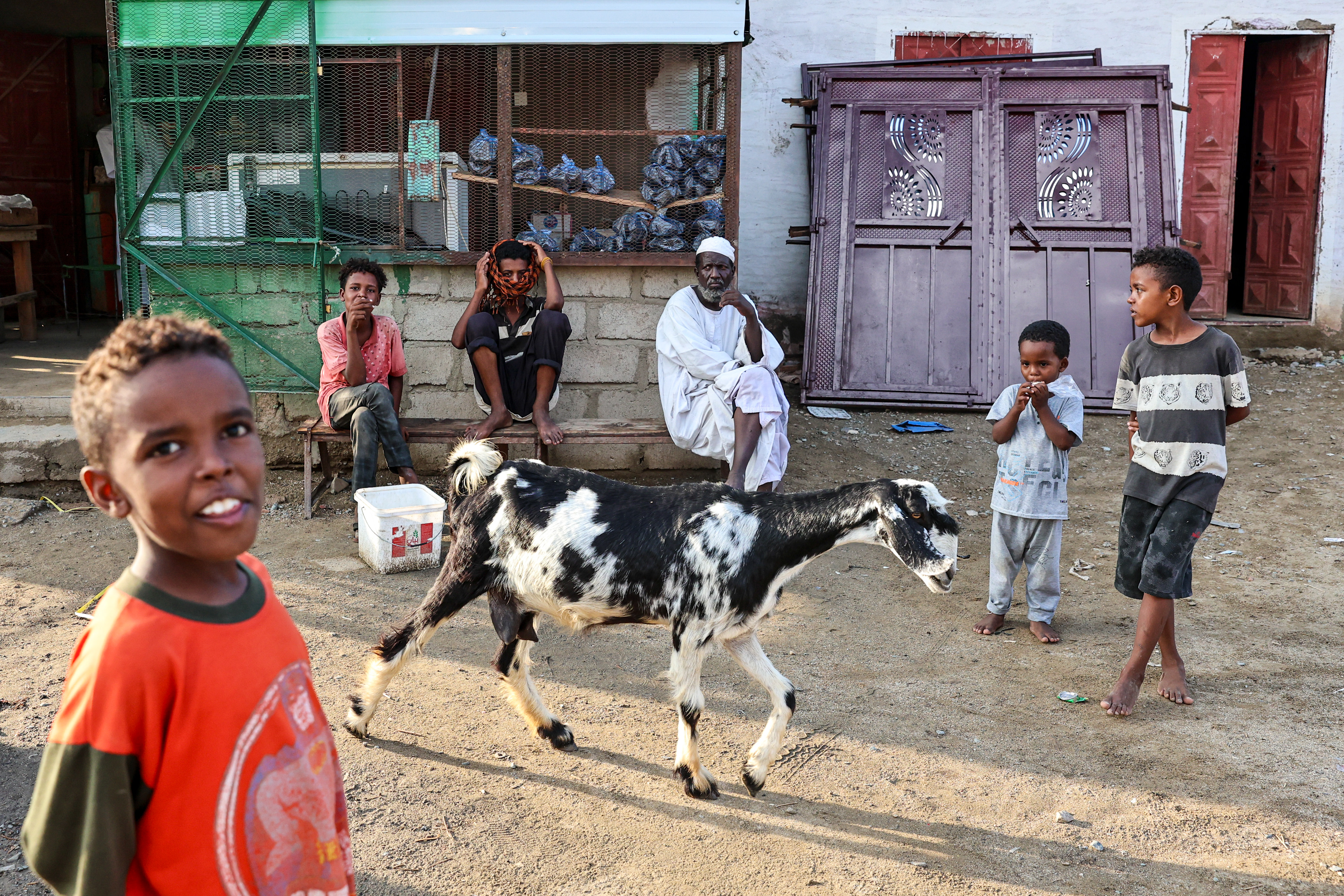 Sudan Kasım 2024