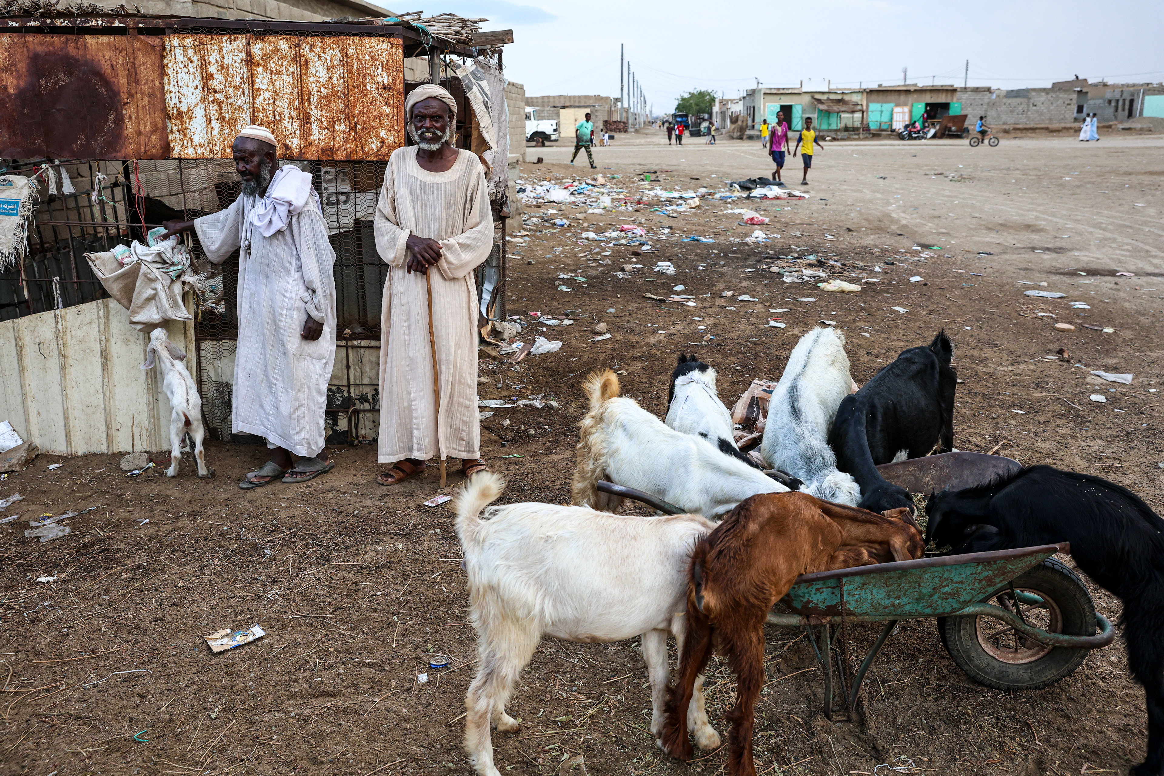 Sudan Kasım 2024