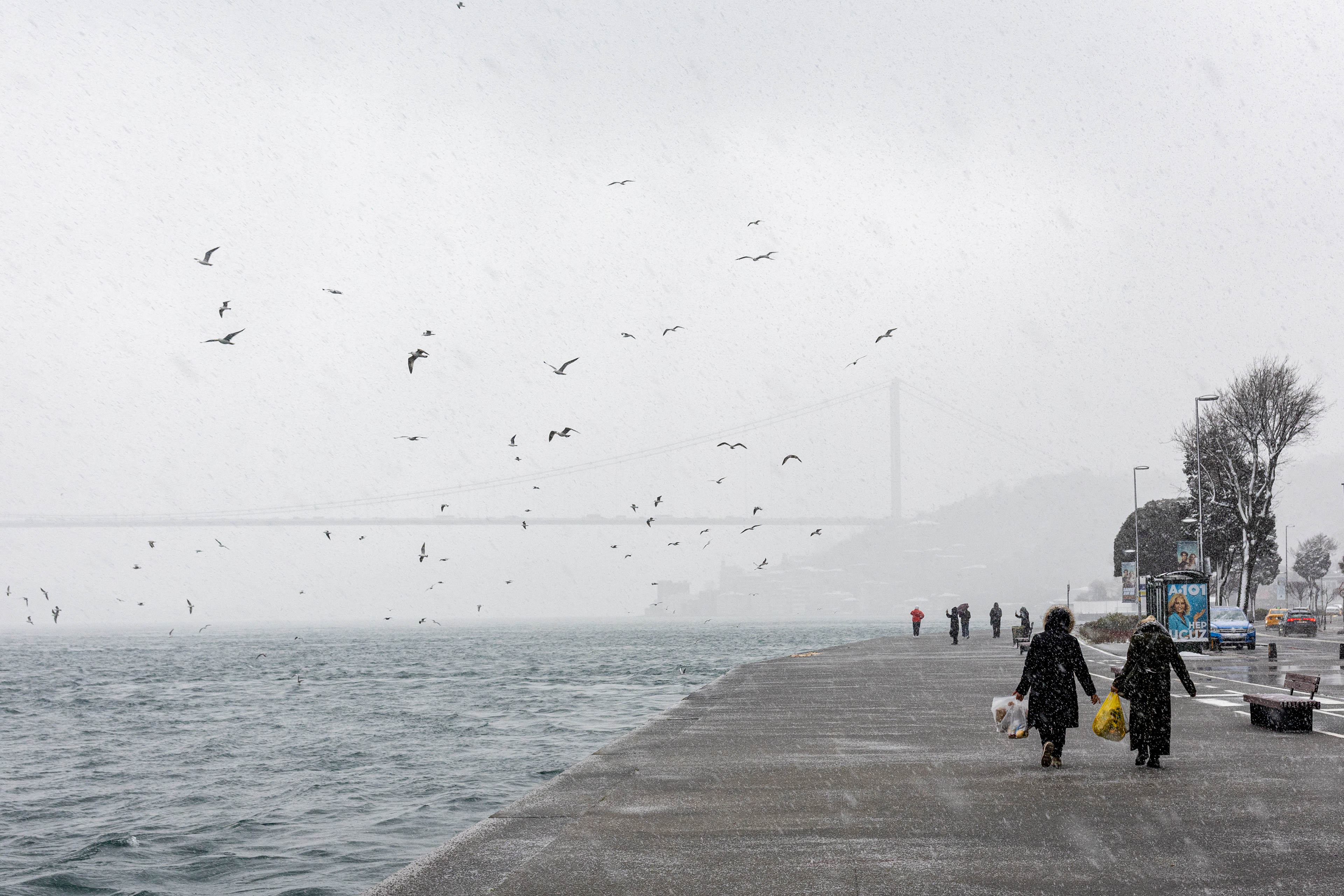 Kar Yağışı İstanbul - 2025
