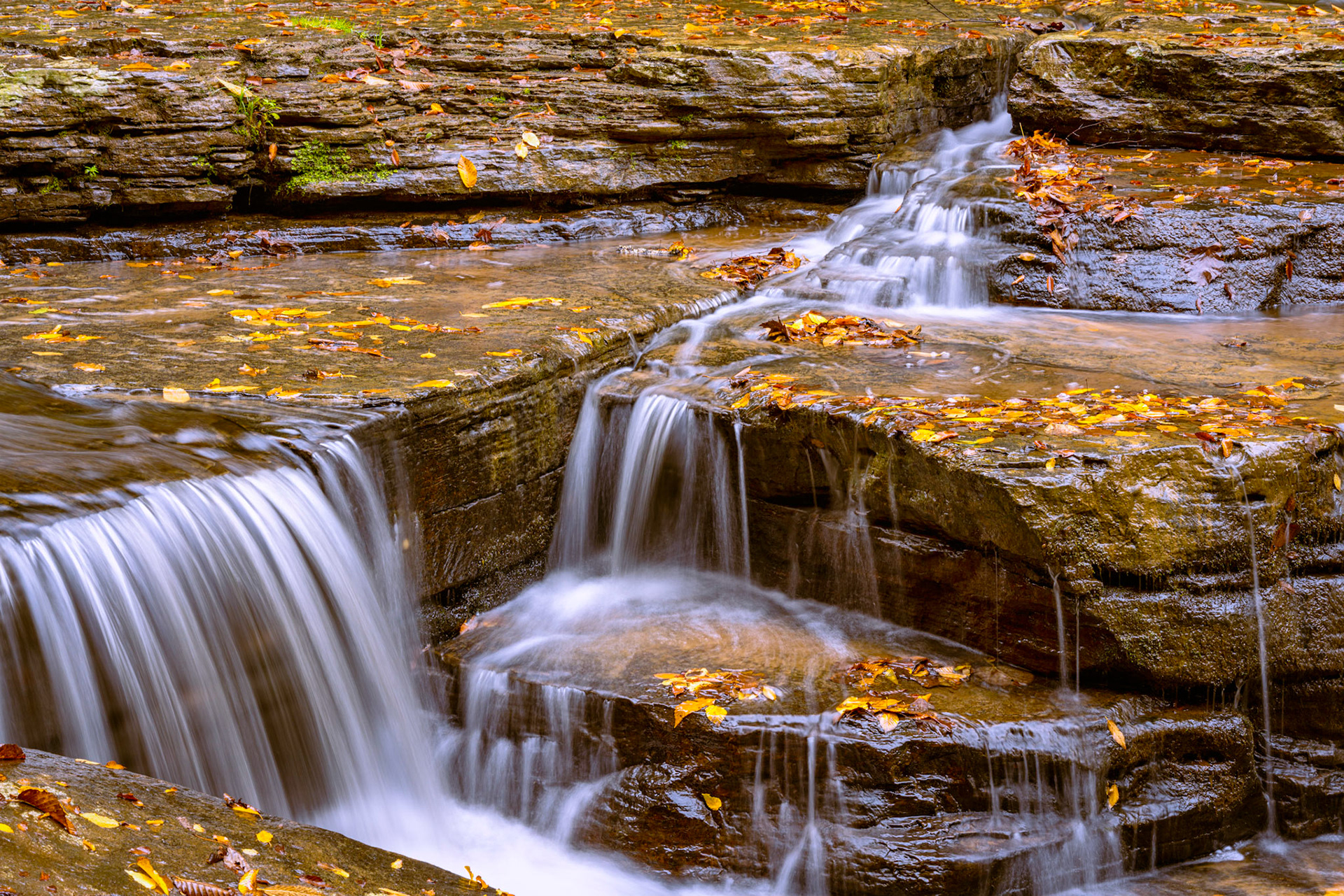 Fallen foliage and waterfalls