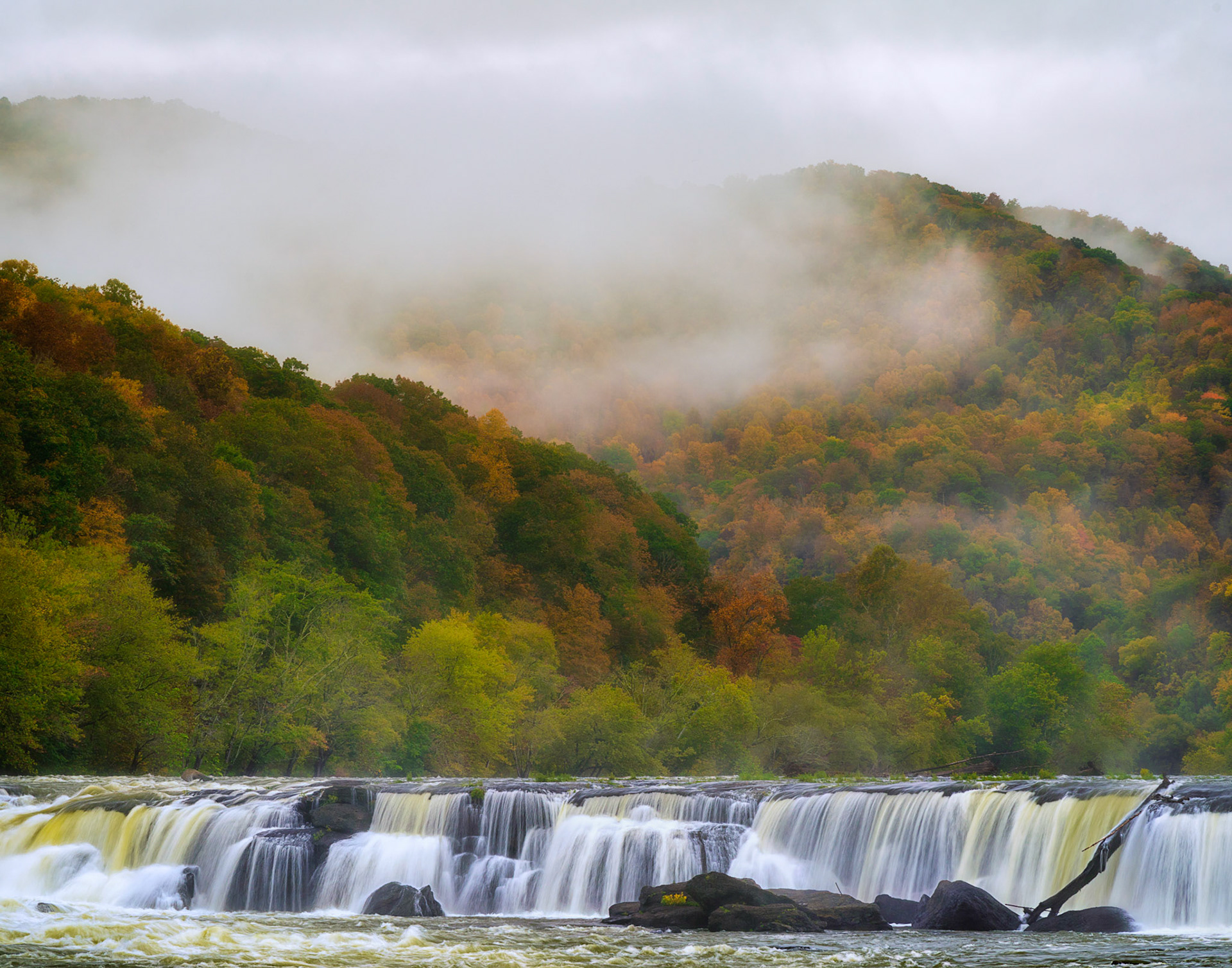 Fog, foliage and waterfalls