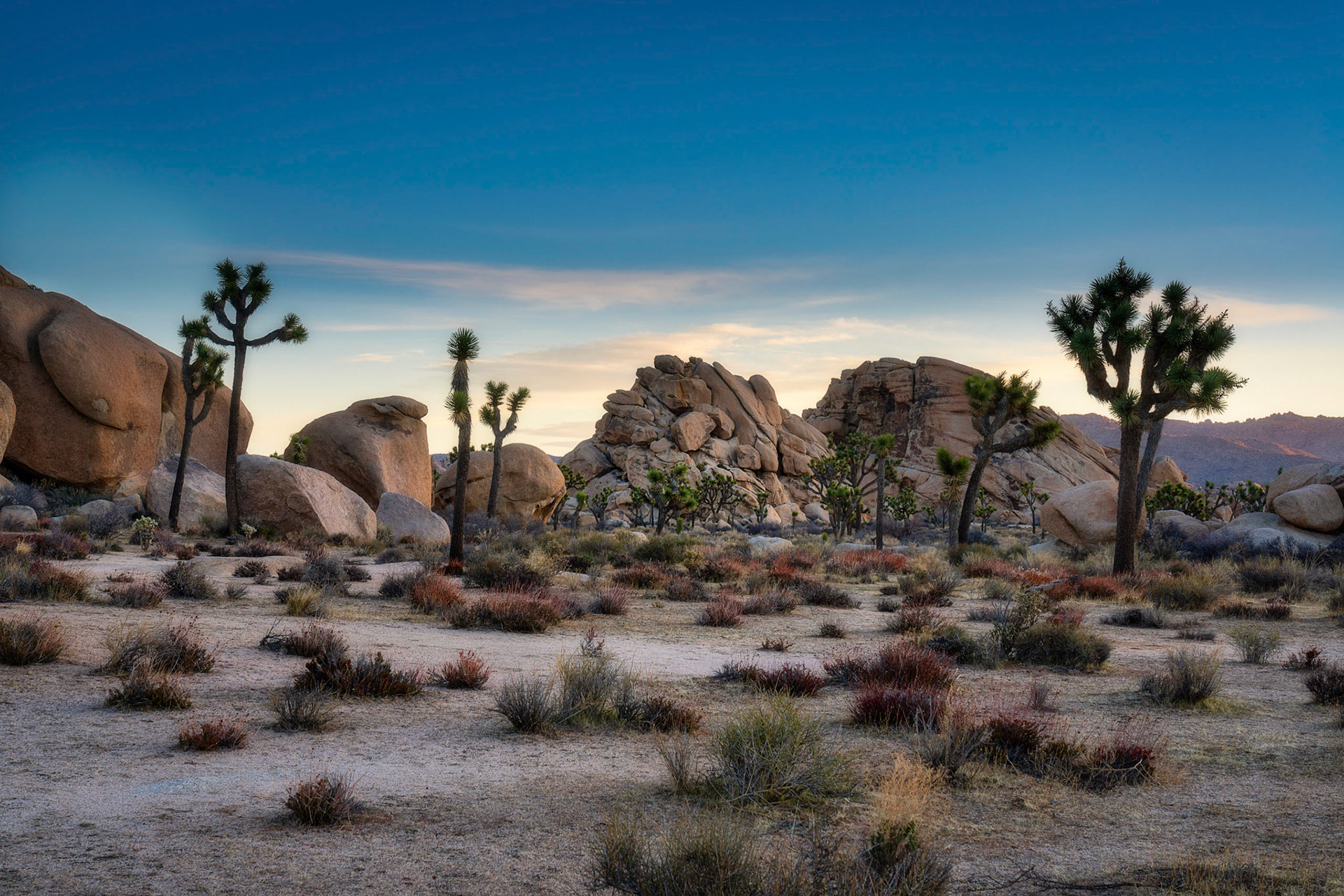 Joshua Tree National Park