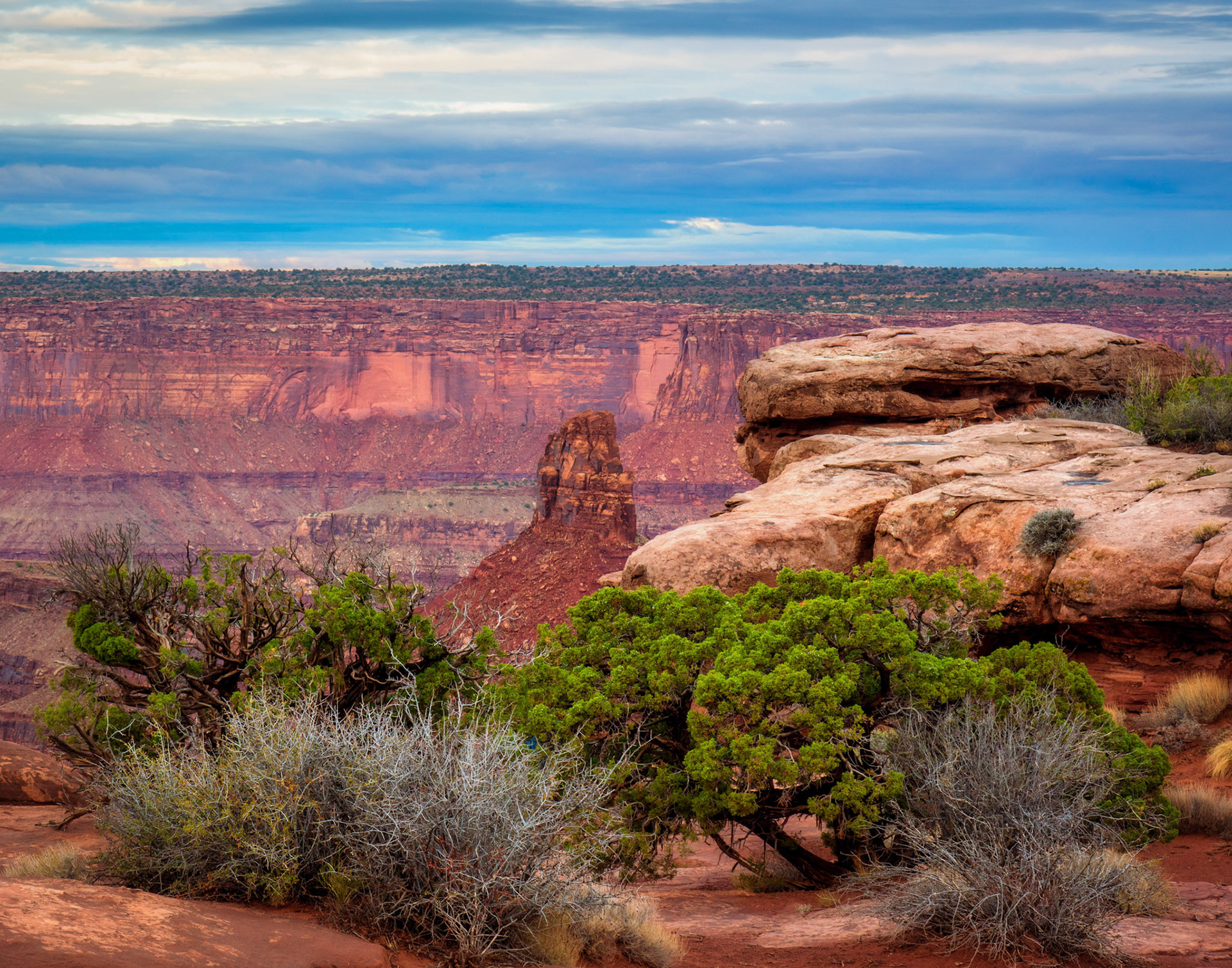 Bushes, rocks and cliffs