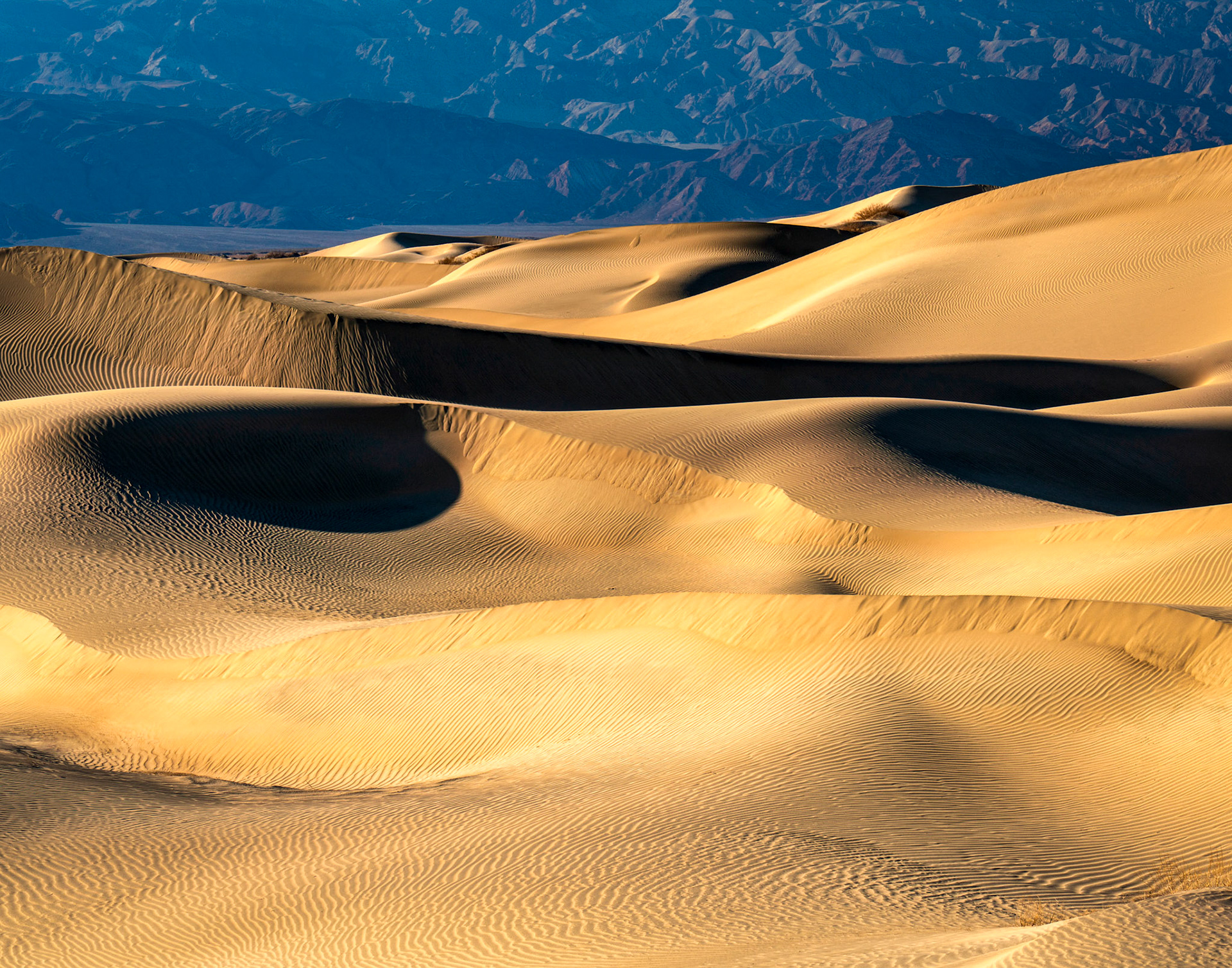 Golden shapes and patterns