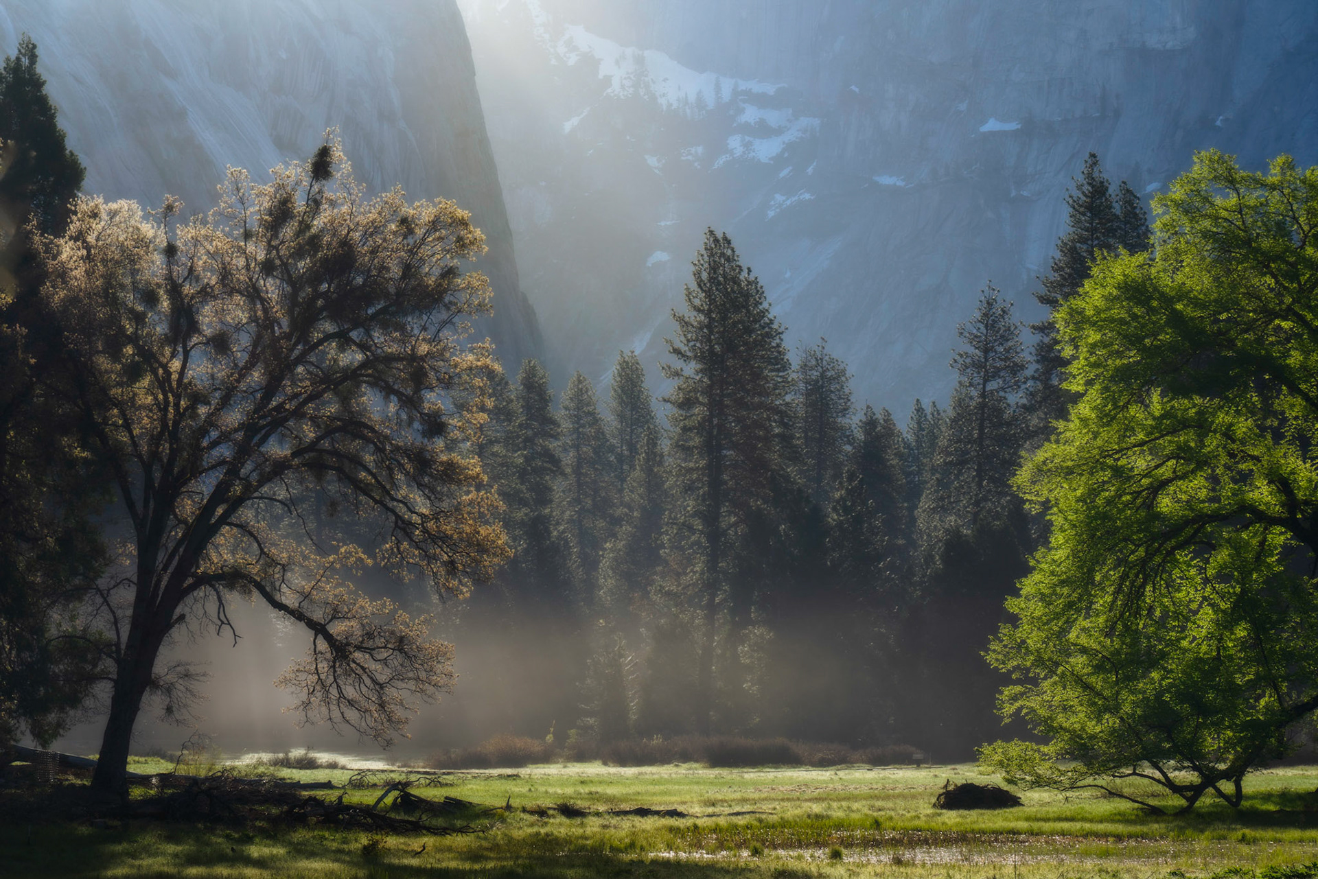 Misty sunrise in Yosemite Valley